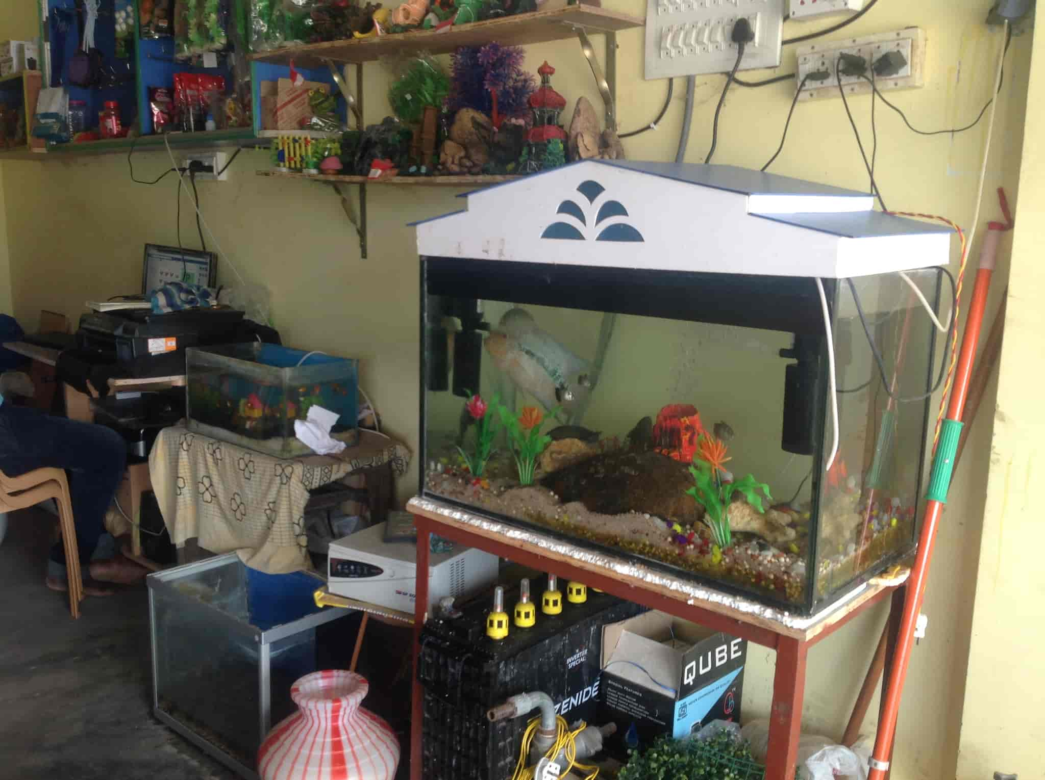 Franklin aquarium hotsell pet store