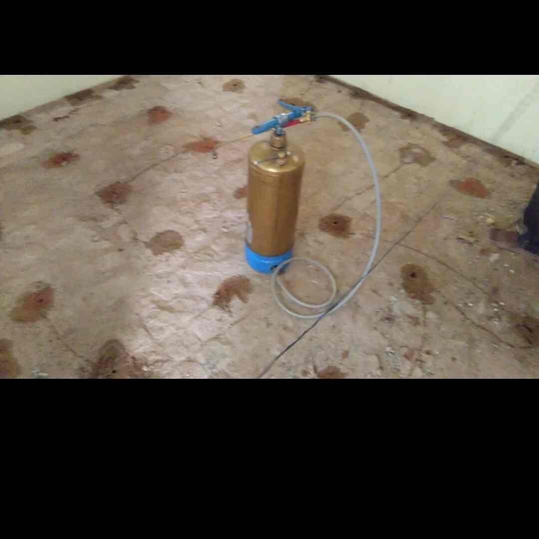 Apollo X Pest Control