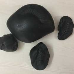 Rudraksha Nilayam Prakasam Road Astrologers In Tirupati Justdial