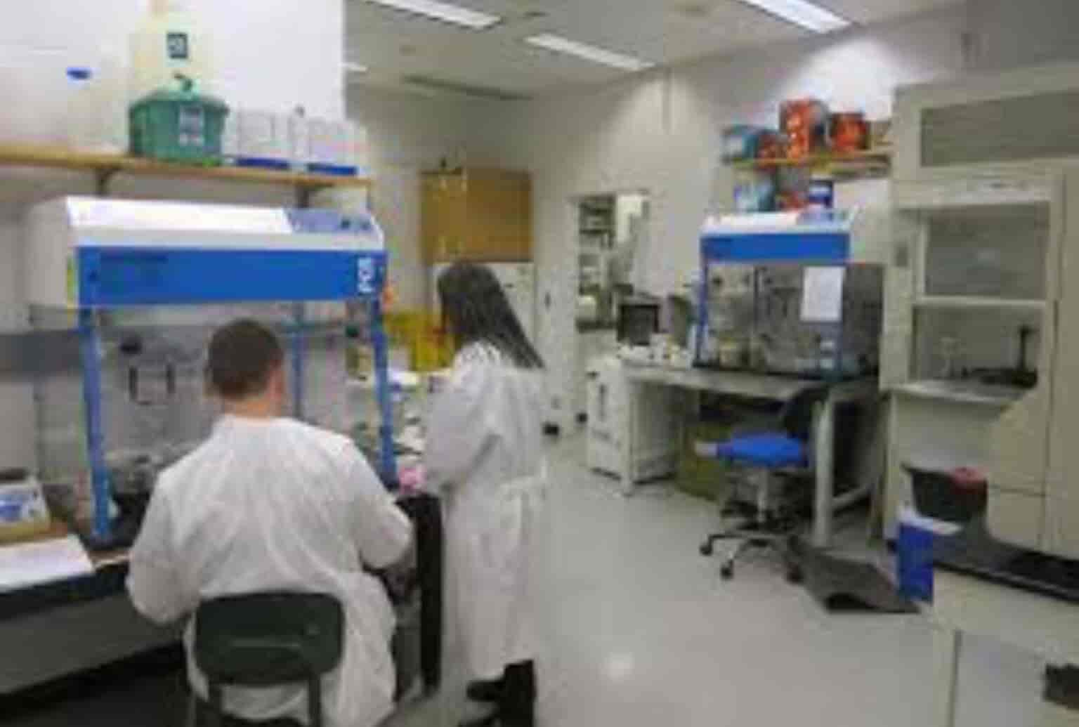 Lab view 8