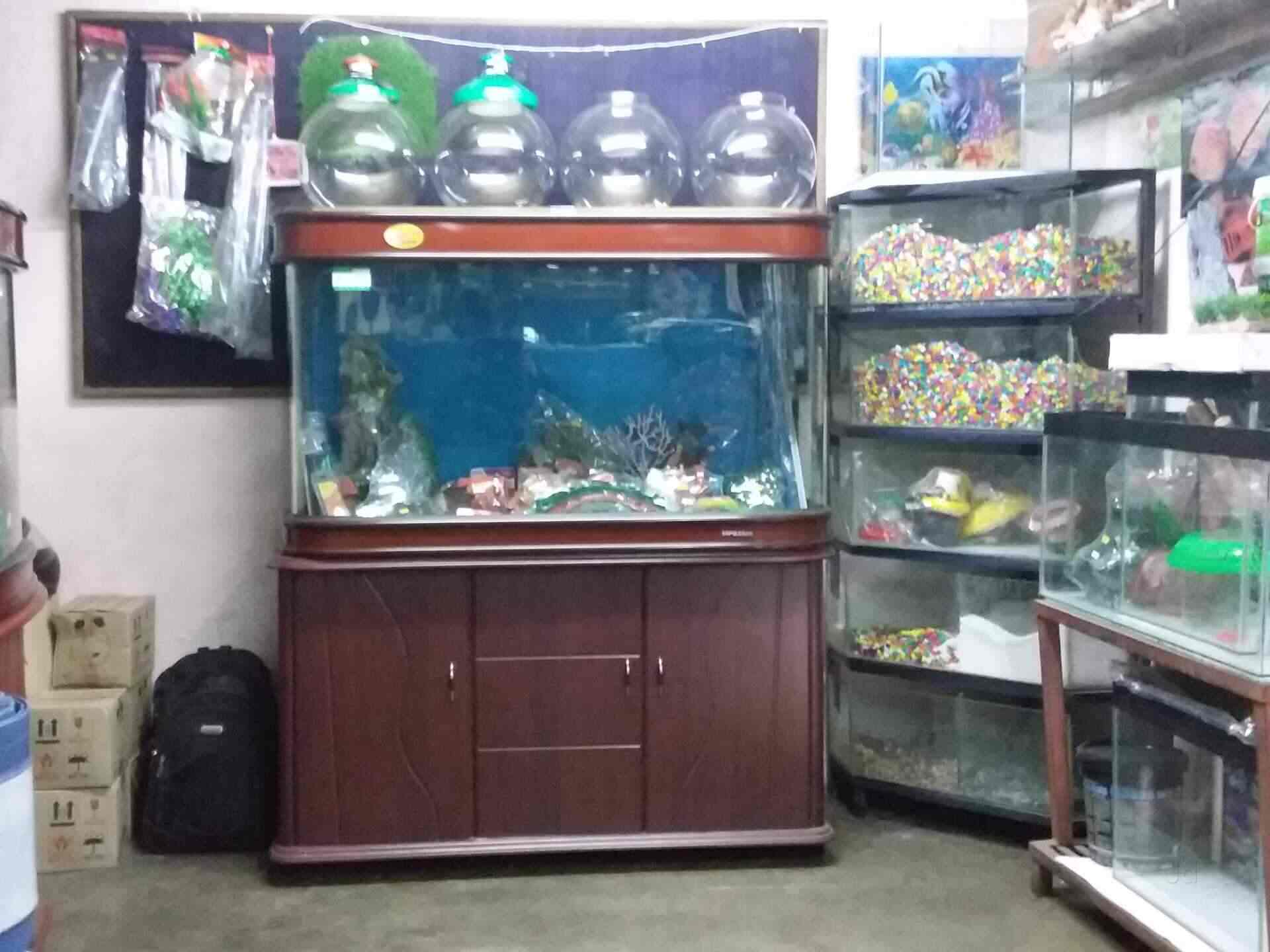 Udaipur Aquarium Gallery