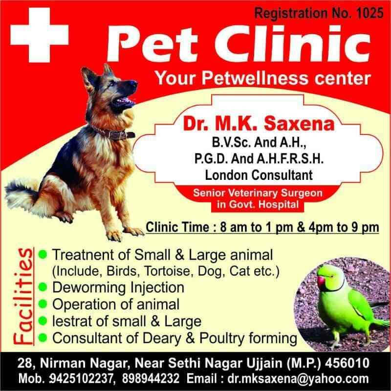 Top 104+ Small animal clinic near me