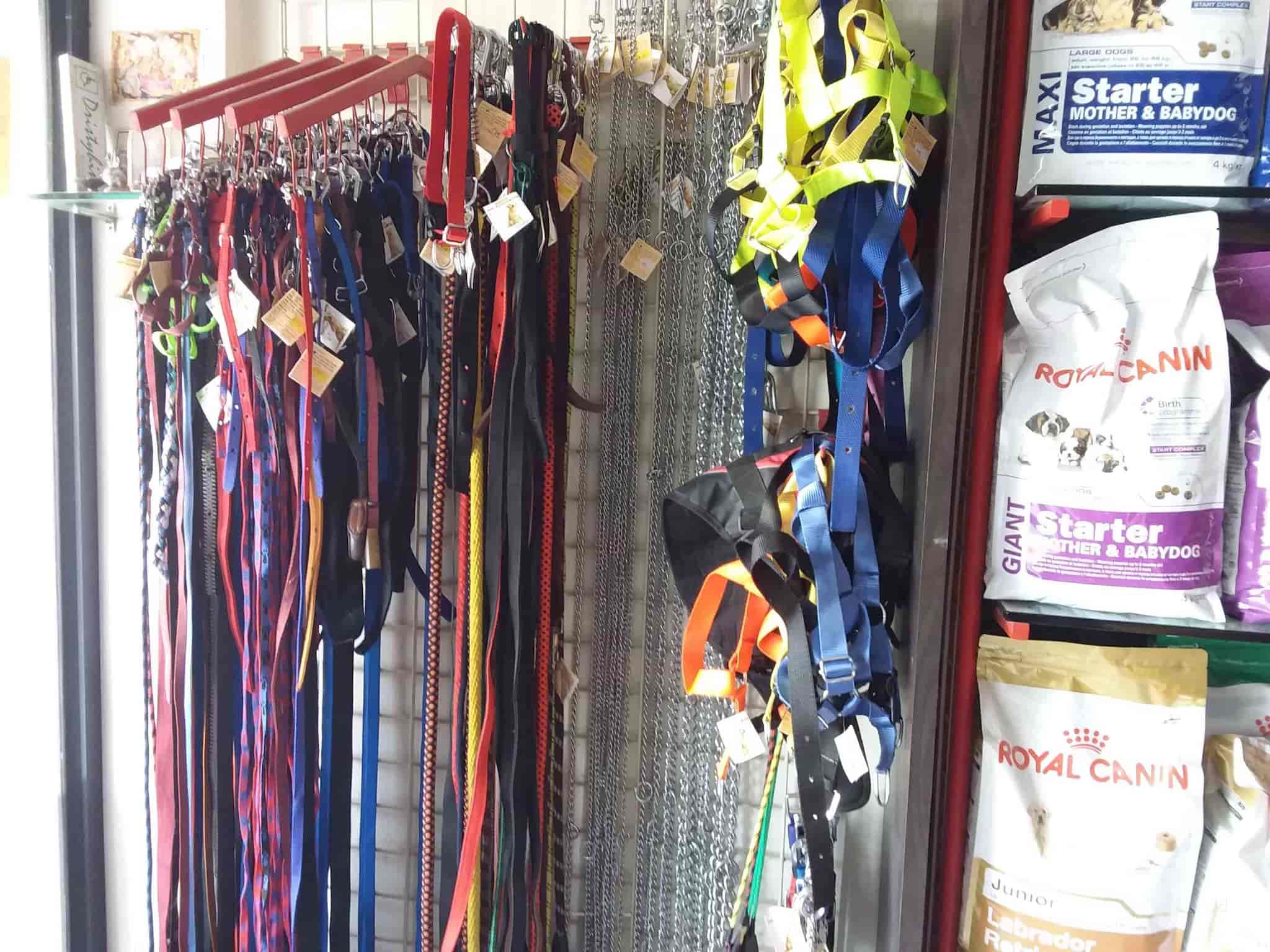 second hand pet store near me