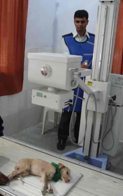 Vadodara Society For Prevention Of Cruelty To Animals Animal Welfare Organisations Book Appointment Online Animal Welfare Organisations In Chapad Vadodara Justdial