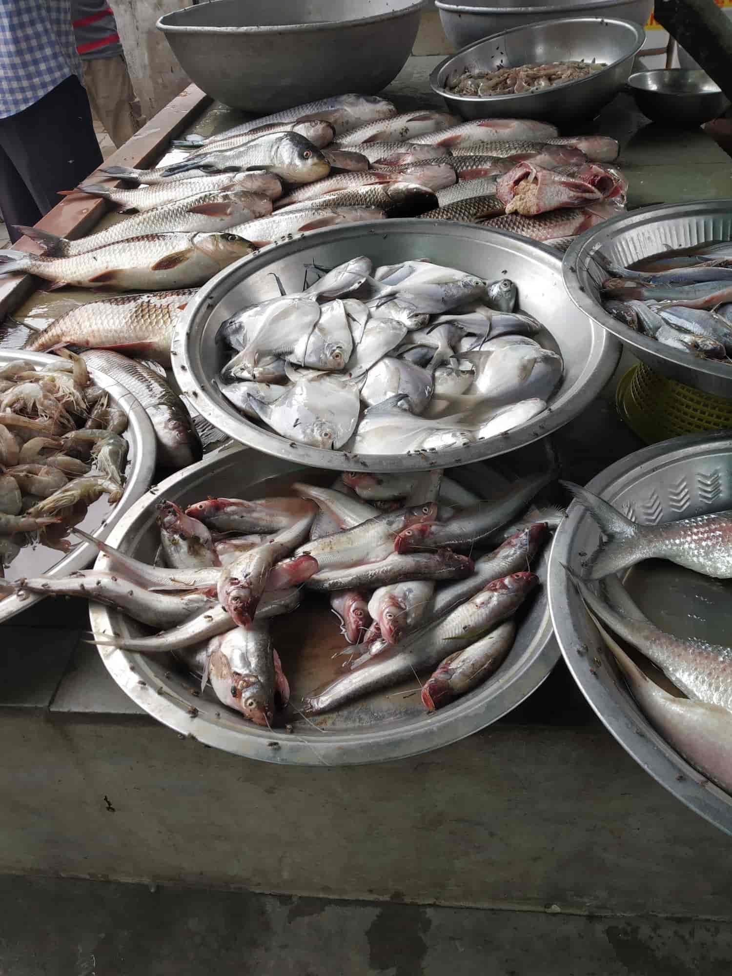 Vadodara Fish Market in Yakutpura,Vadodara - Best Fish Retailers