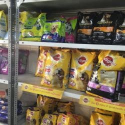 Pet's Club, Tithal - Pet Shops in Valsad - Justdial
