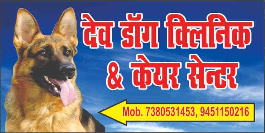 dev dog clinic