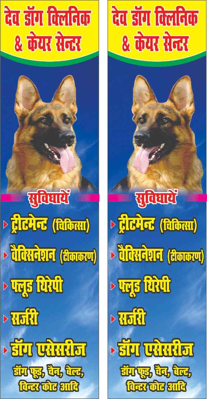 dev dog clinic