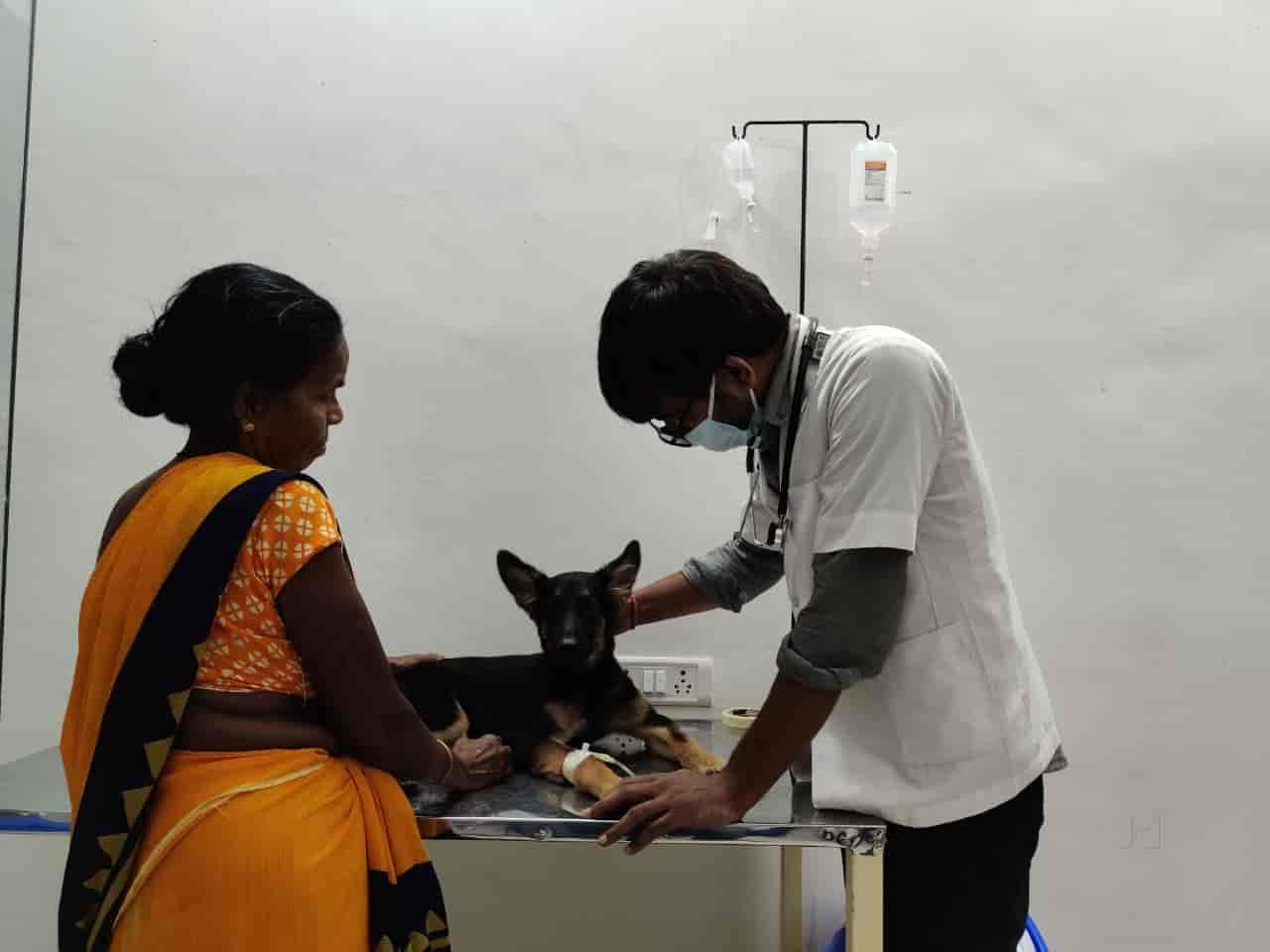 Dog clinic sale varanasi