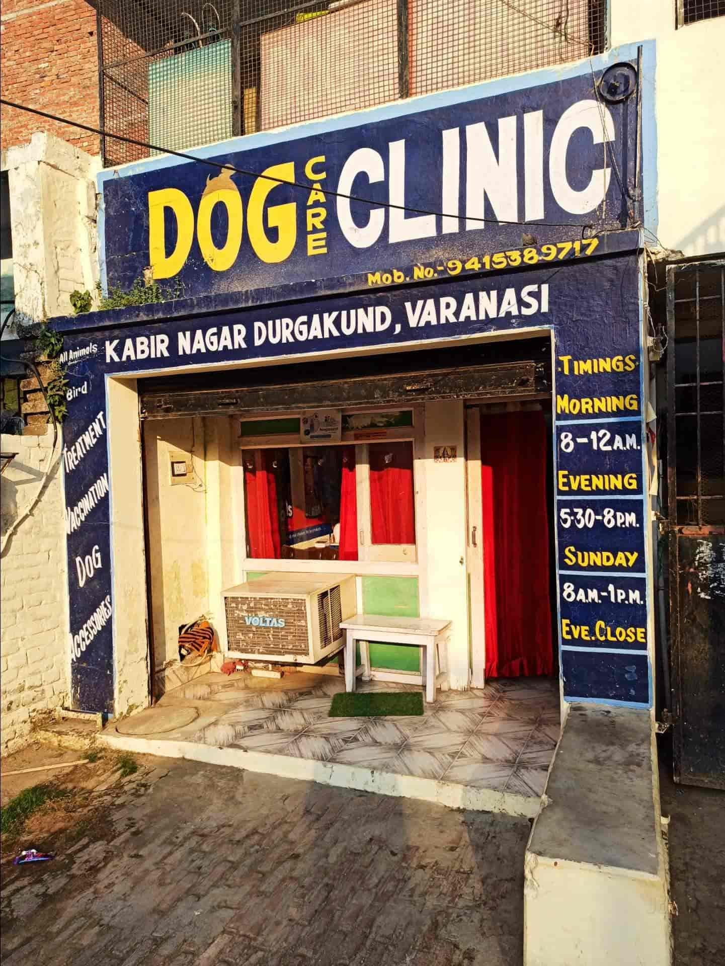 Dog clinic sale varanasi