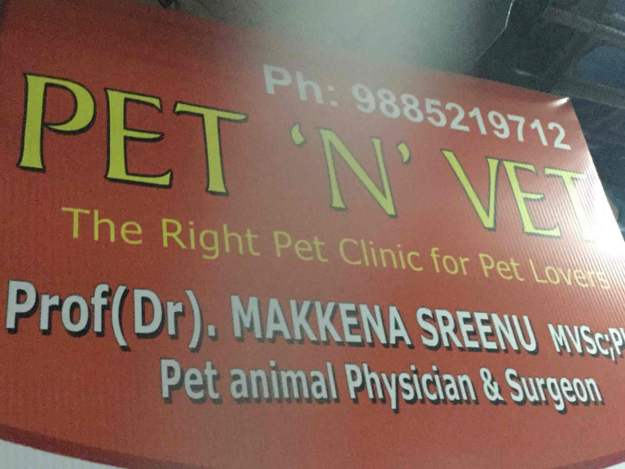 boy dog collars and leashes