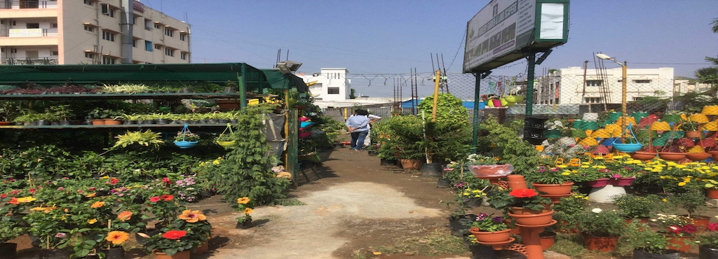 Devi Sridevi Nursery Garden Landscapers Gajuwaka Landscape Devi Sridevi Nursery Garden Landscapers