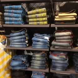 cp bro classic polo
