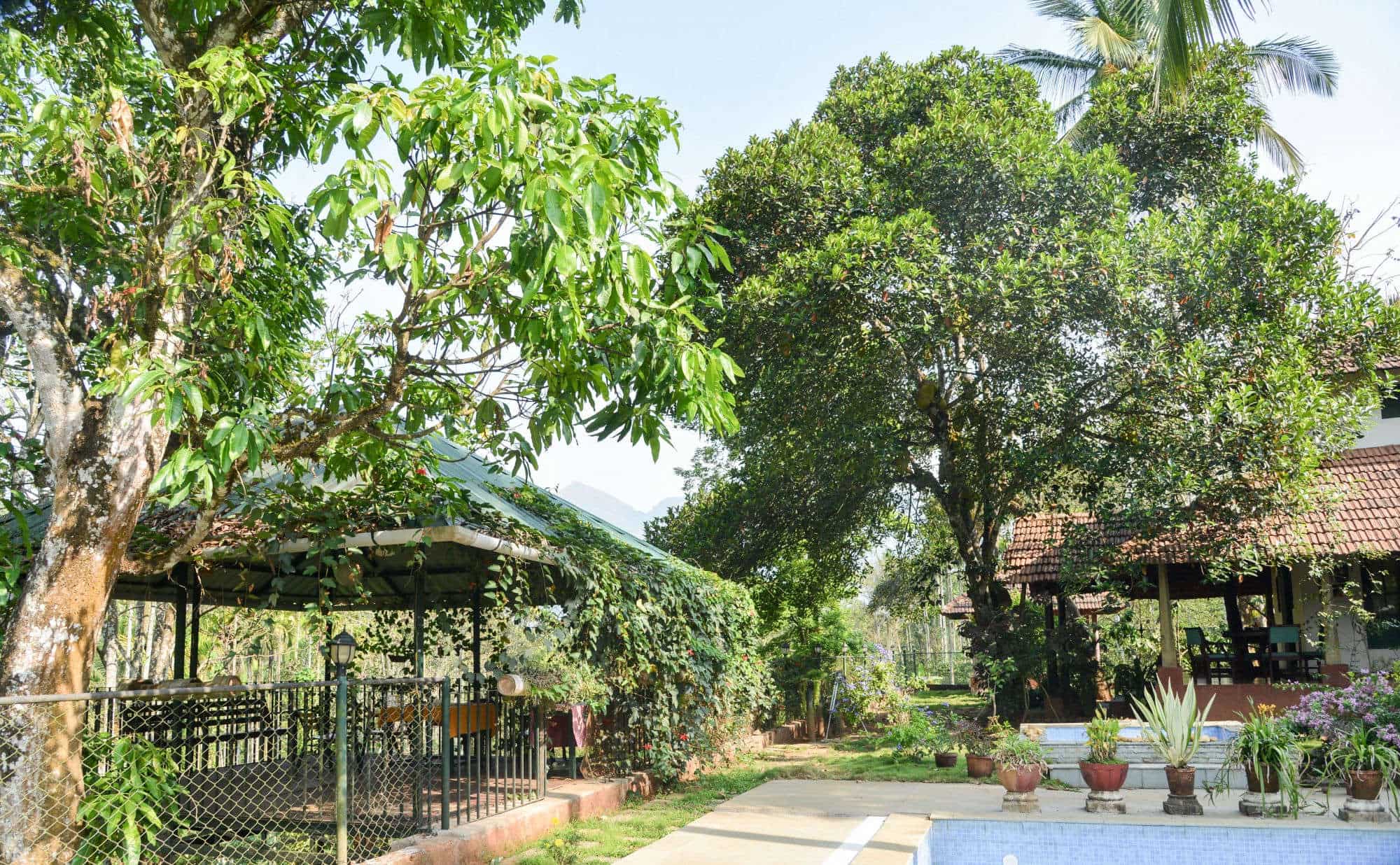 Oyo Homes 038 Photos Chundale Wayanad Pictures Images Gallery Oyo Homes 038 Photos Chundale Wayanad Hotels Rs 501 To 1000