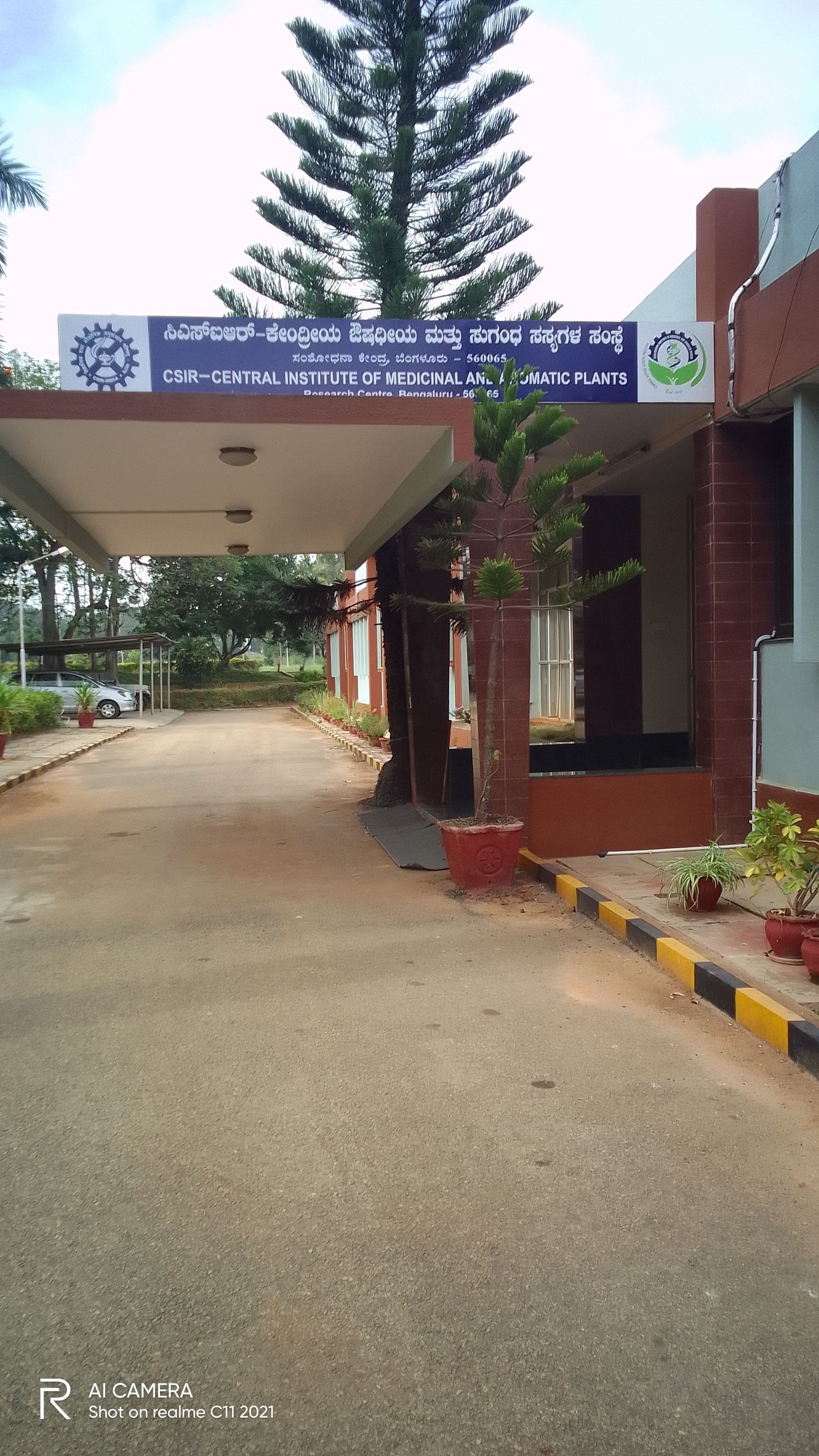 Central Institute Of Medicinal & Aromatic Plants in Yelahanka,Bangalore -  Best Aromatic Chemical Dealers near me in Bangalore - Justdial