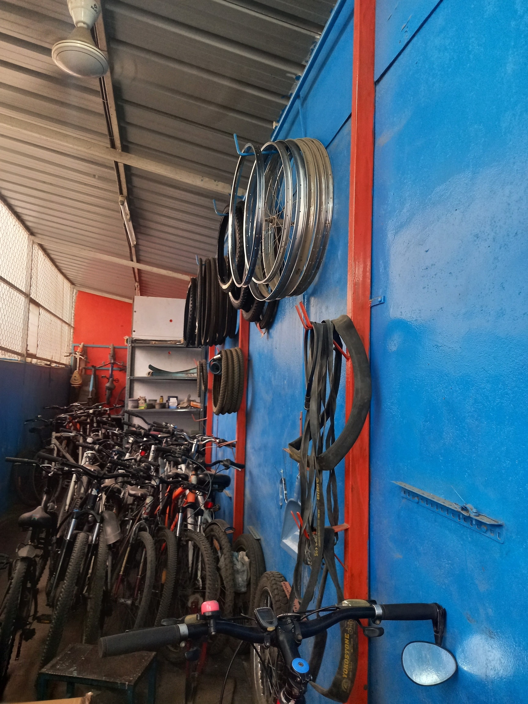 Shop garden city bike shop New Arrivals