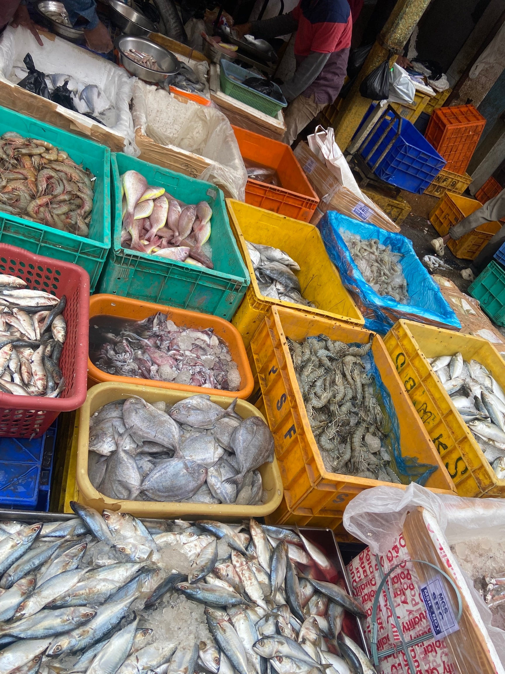 Bangalore Fish Market in Shivaji Nagar,Bangalore - Best Seafood
