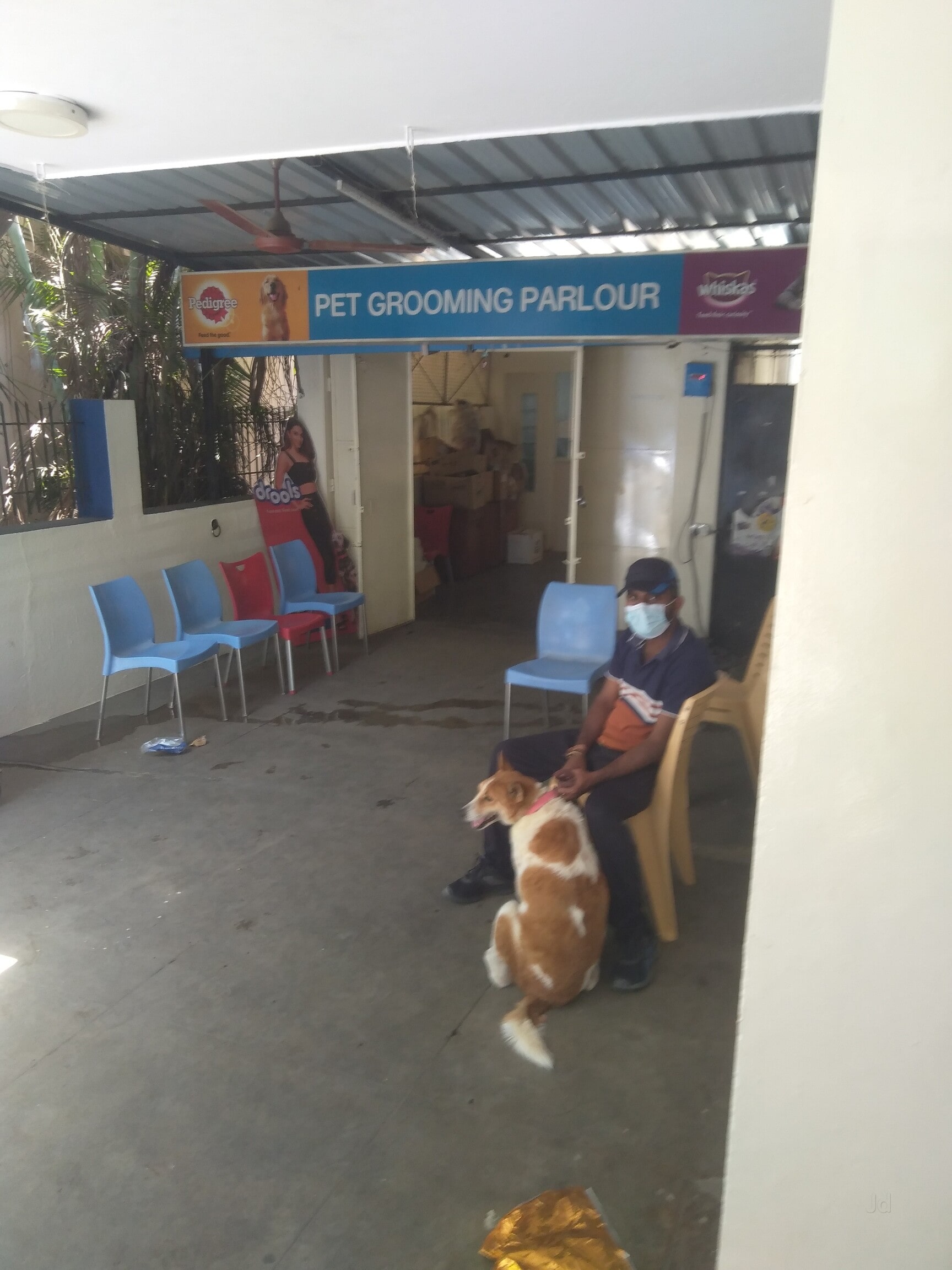 Bangalore Best Pet Clinics Near Me Best Anu Pet Clinic New Arrivals