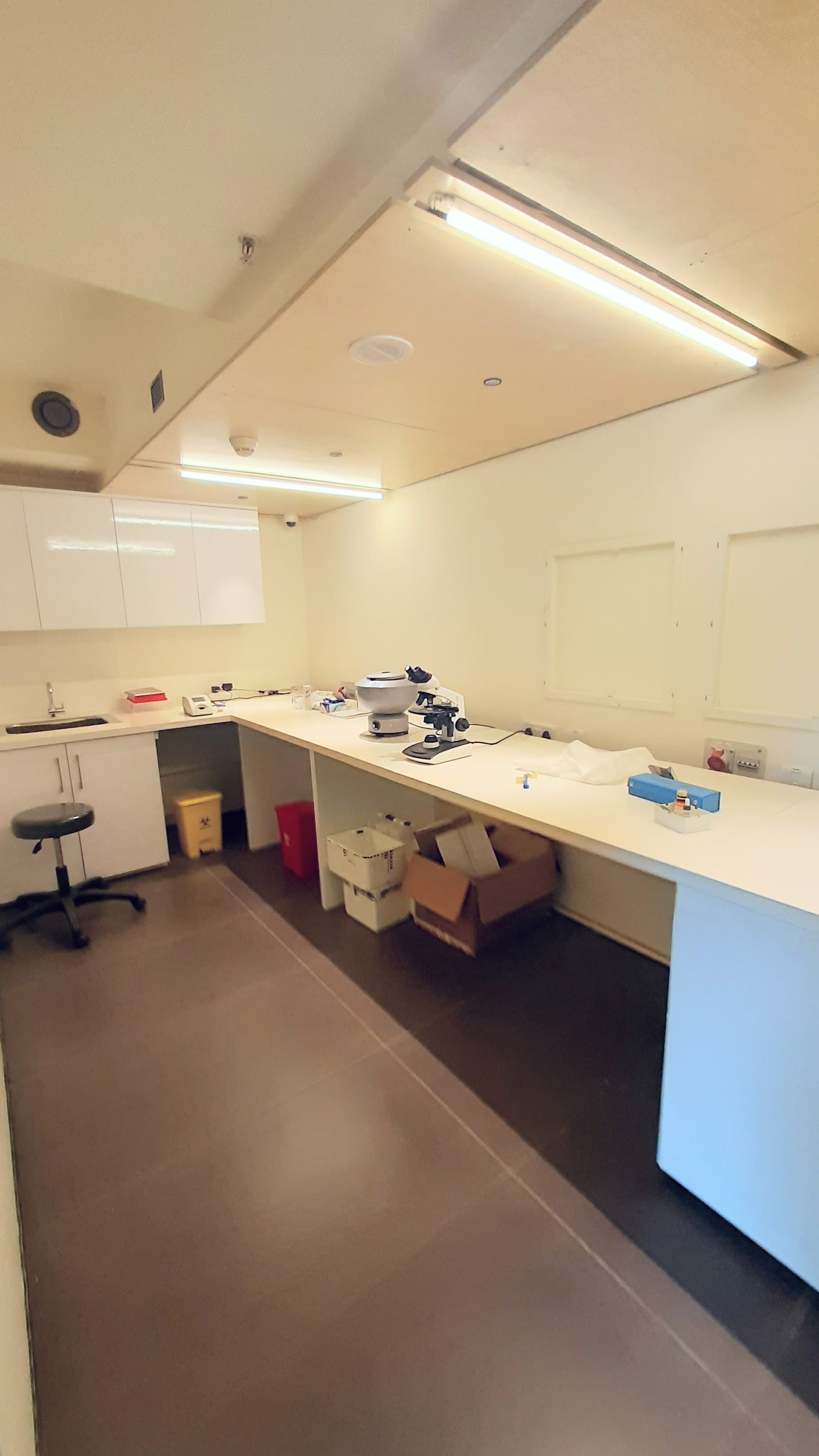 Lab view 8