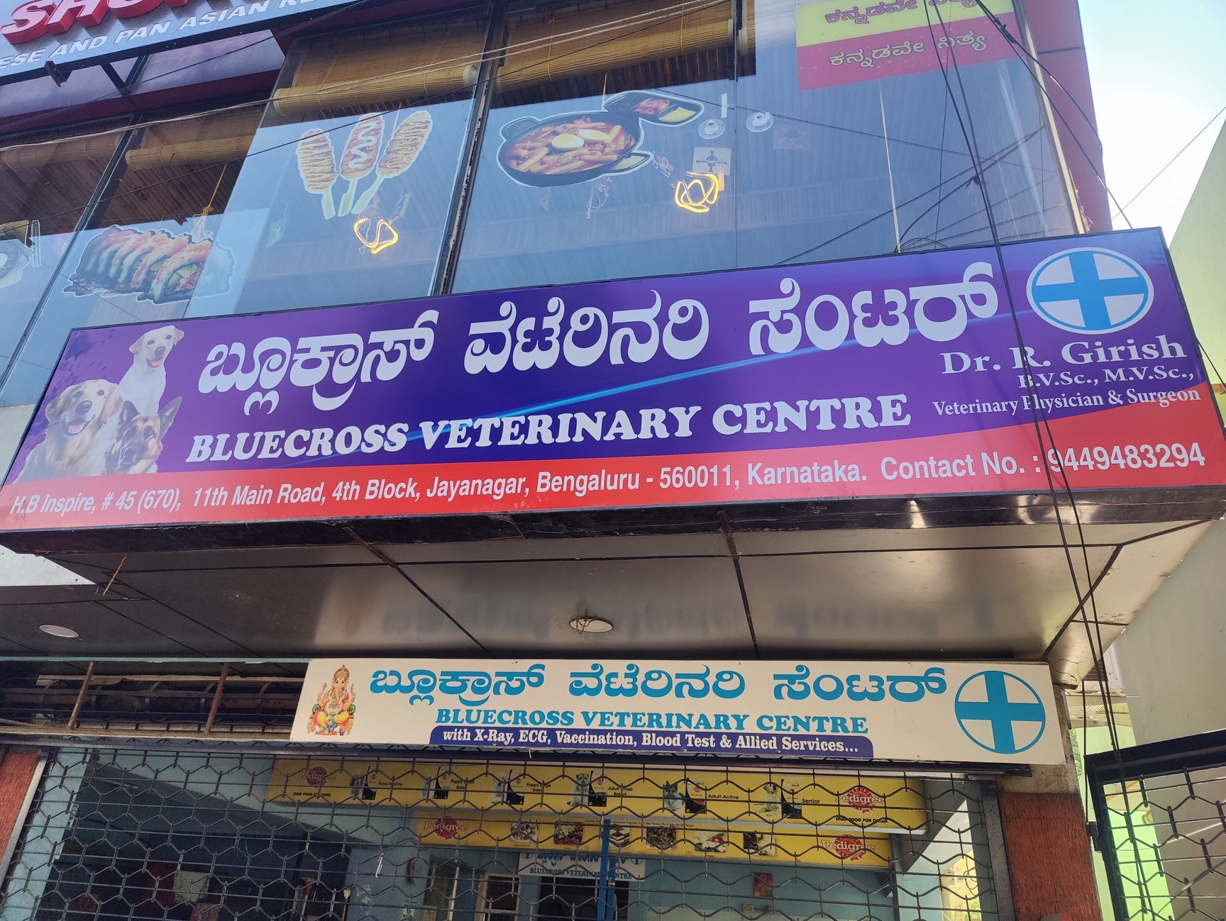 Bangalore Near Me Veterinary Hospital Bangalore Pet Animal Dog