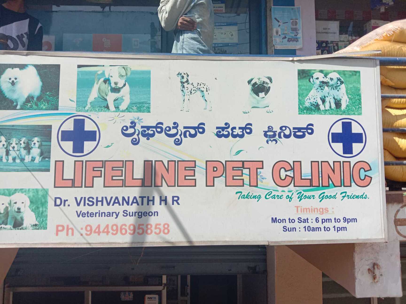 Lifeline Pet Clinic in Nagasandra Bangalore Best Veterinary Clinics in Bangalore Justdial