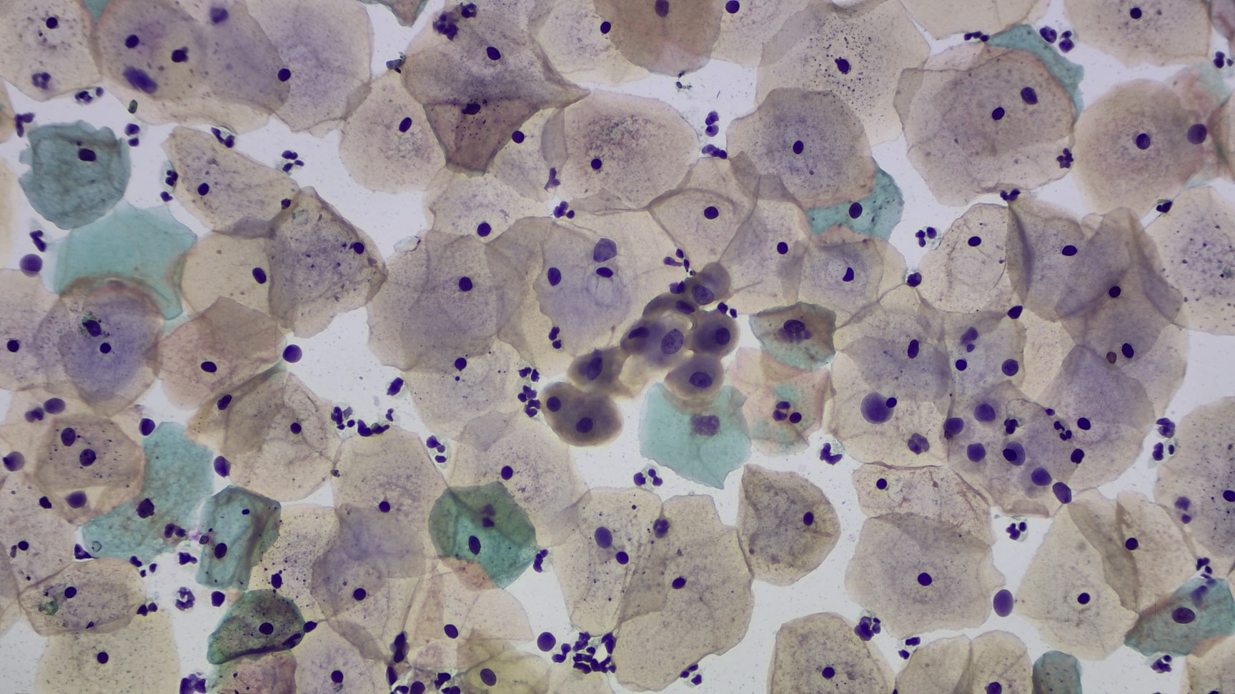 Lab view 7