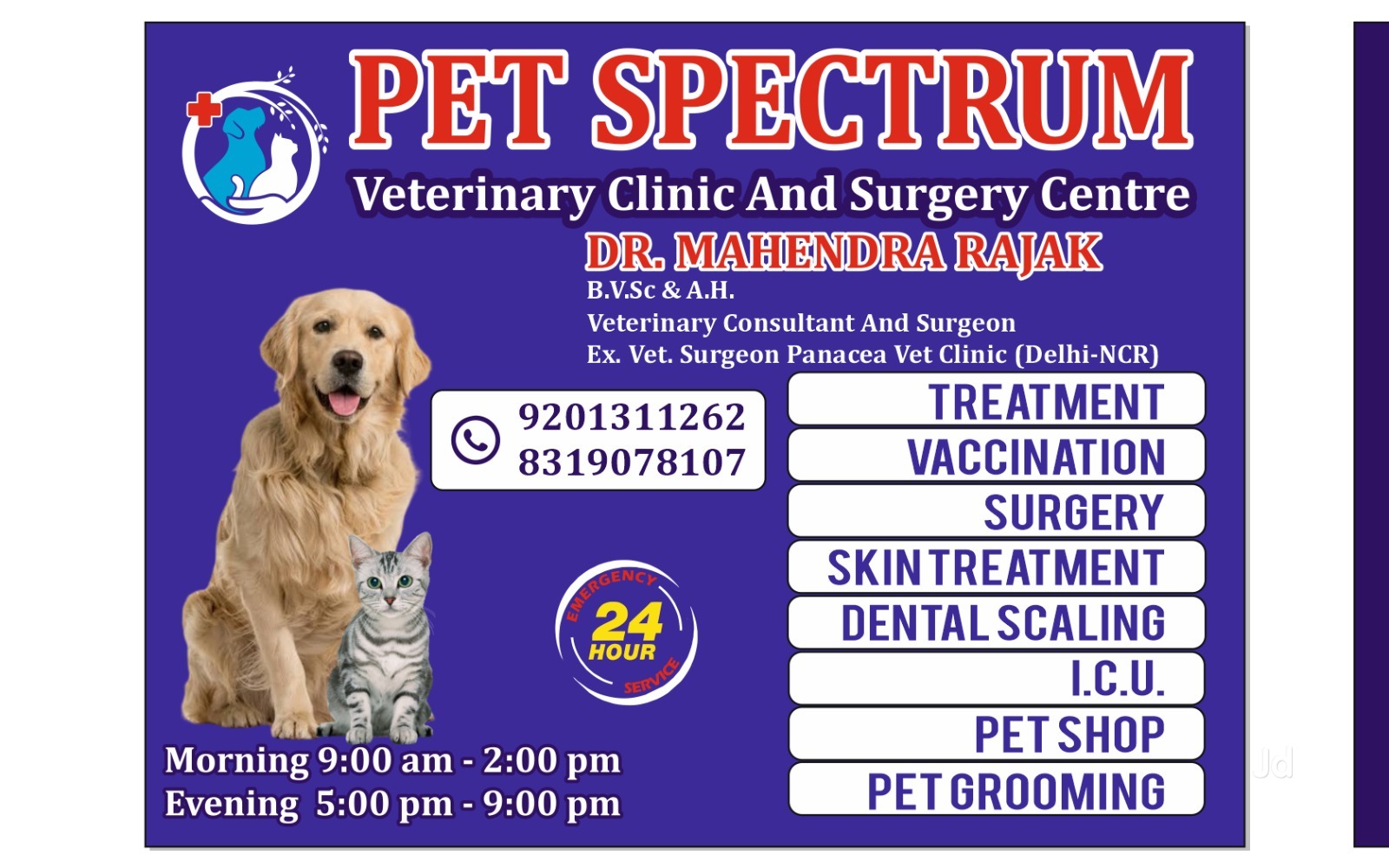 Veterinary Hospital Low Cost Vet Surgery Near Me Animal Hospital