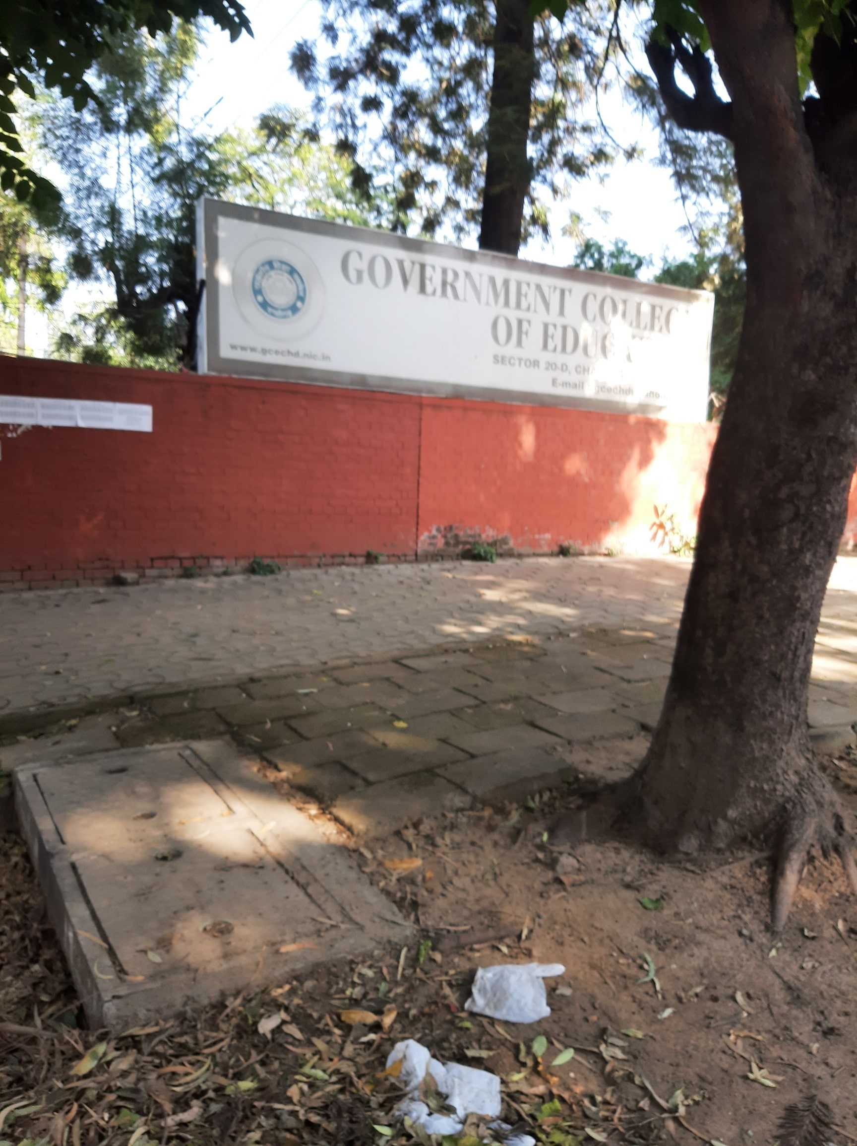 Government College Of Education in Chandigarh Sector 20,Chandigarh - Best  Colleges near me in Chandigarh - Justdial