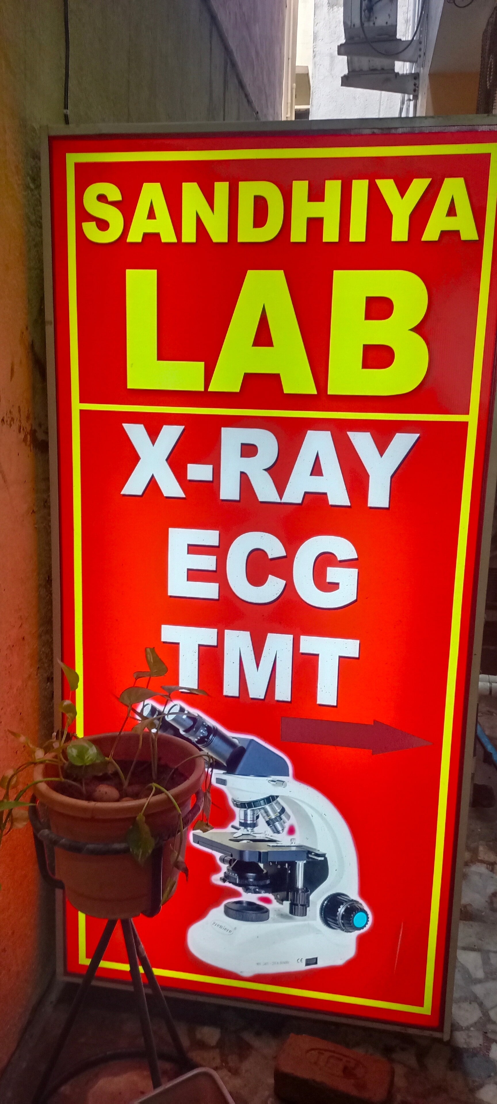 Lab view 5