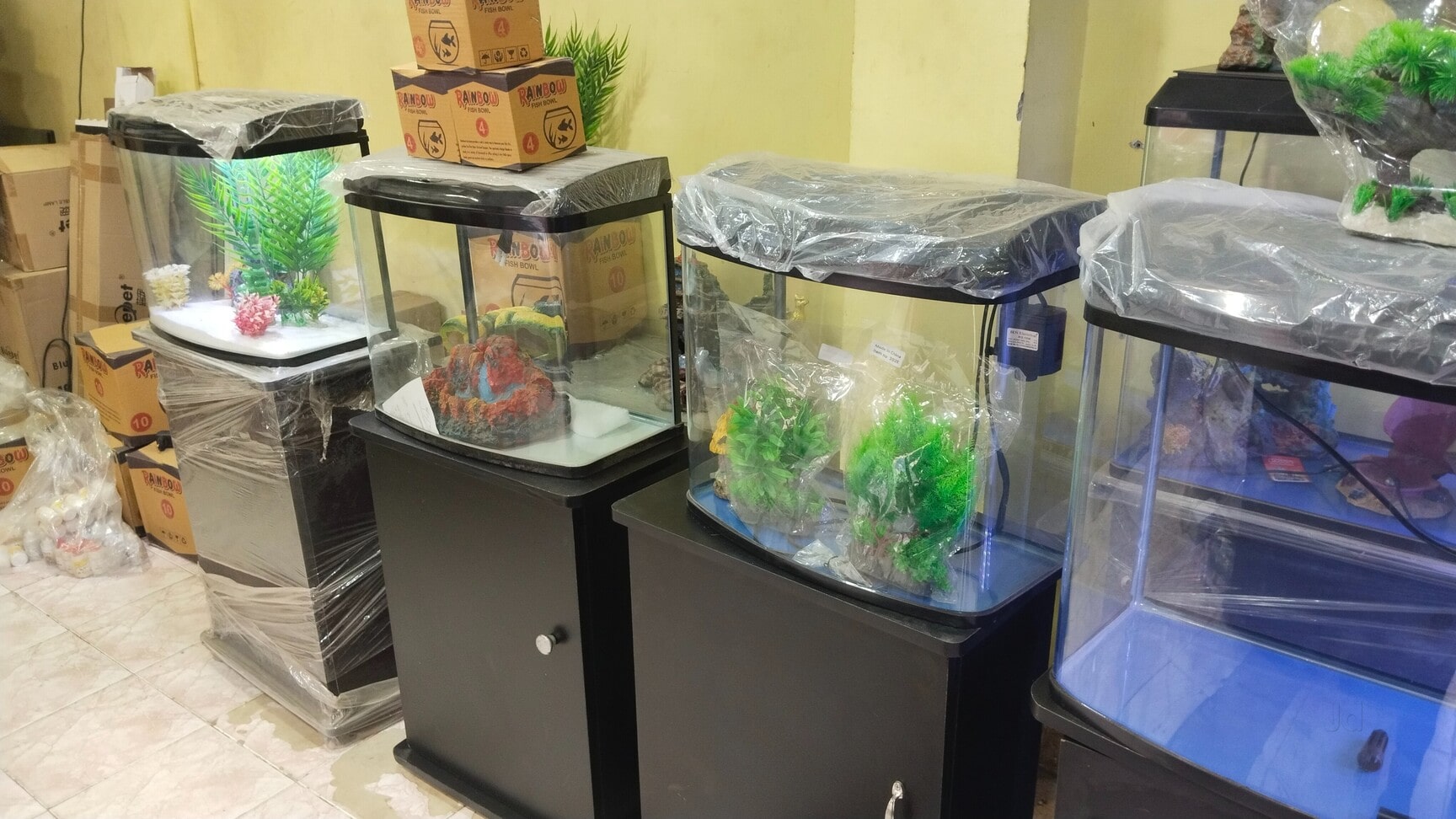 fish tank accessories sale in chennai PetzLifeworld 12 Inch Green Rotella Aquarium Decoration Plas PetzLifeWorld LATHA AQUARIUM Wide Selection