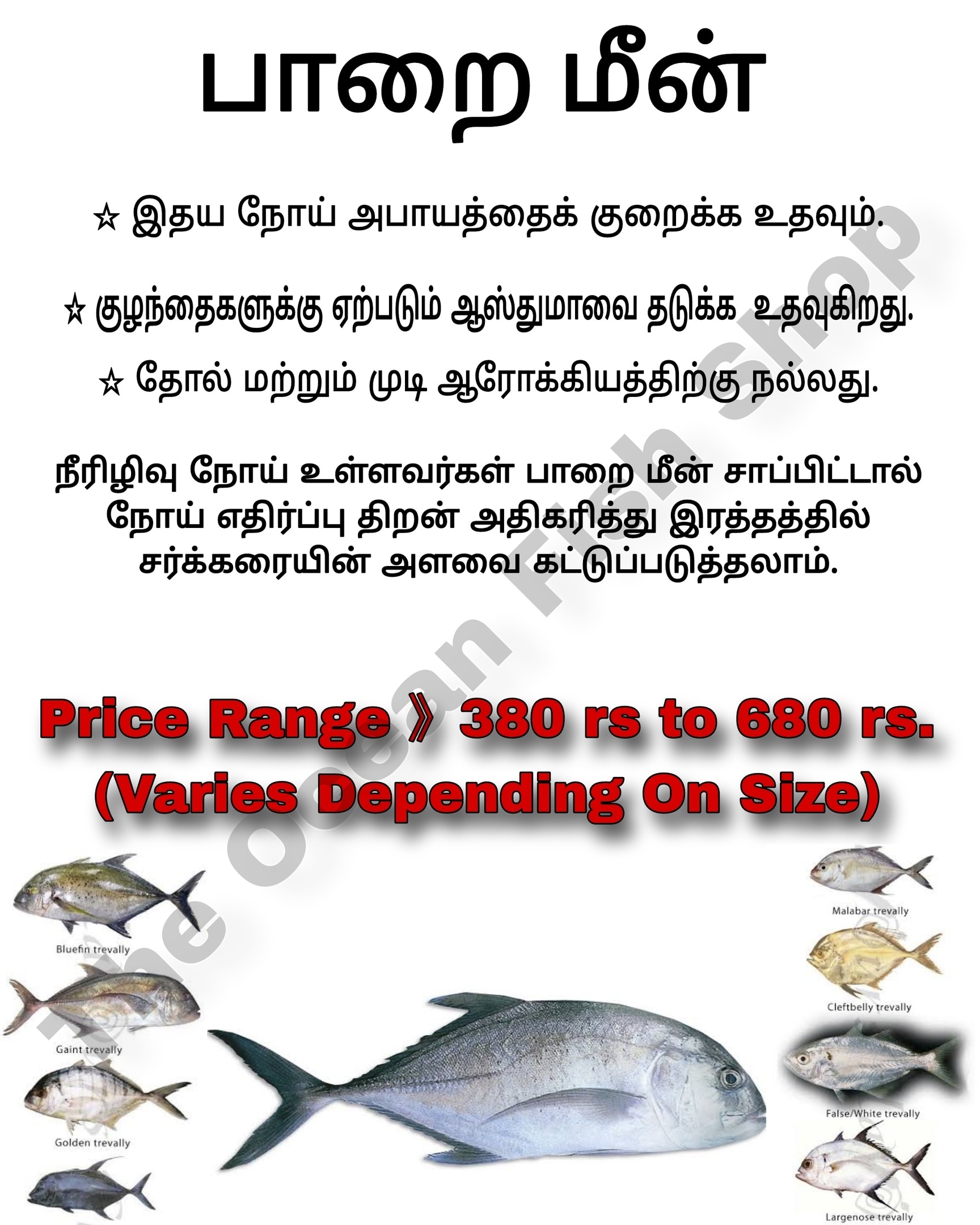 Sea Fish Names In Telugu - Infoupdate.org