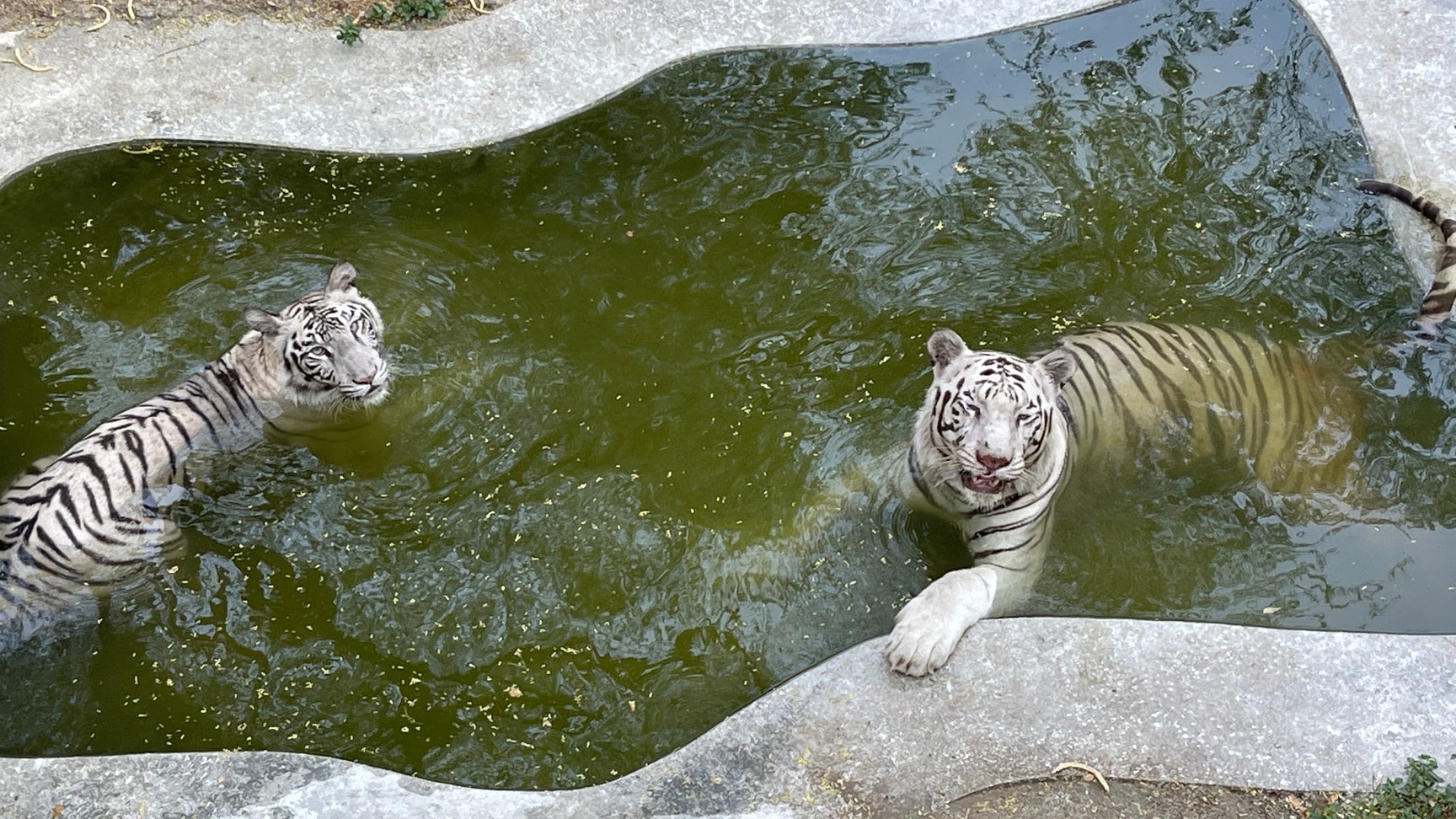 National Zoological Park in Sundar Nagar,Delhi - Tourist Attraction near me in Delhi - Justdial