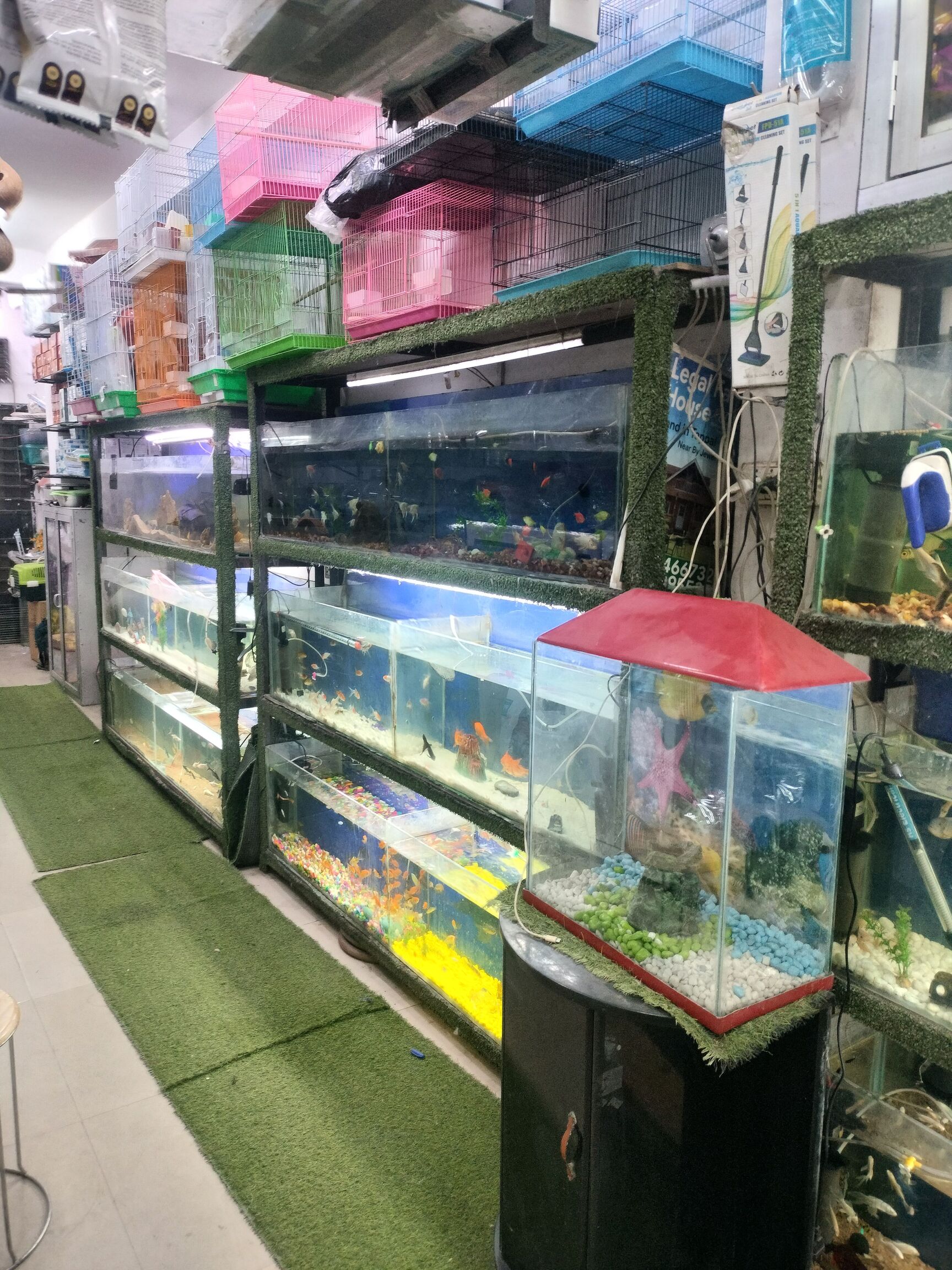 Oceans Aquarium Pet World in Shaheen Bagh jamia Nagar Delhi Best Fish Food Retailers near me in Delhi Justdial