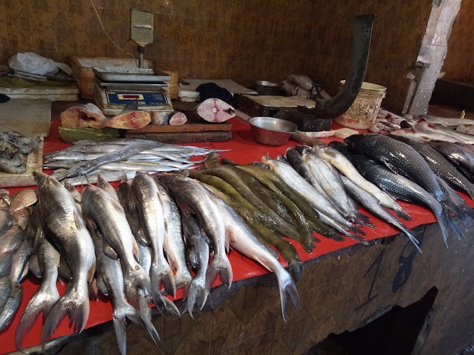 Faridabad Fish Market in East India Colony-Faridabad Sector 22