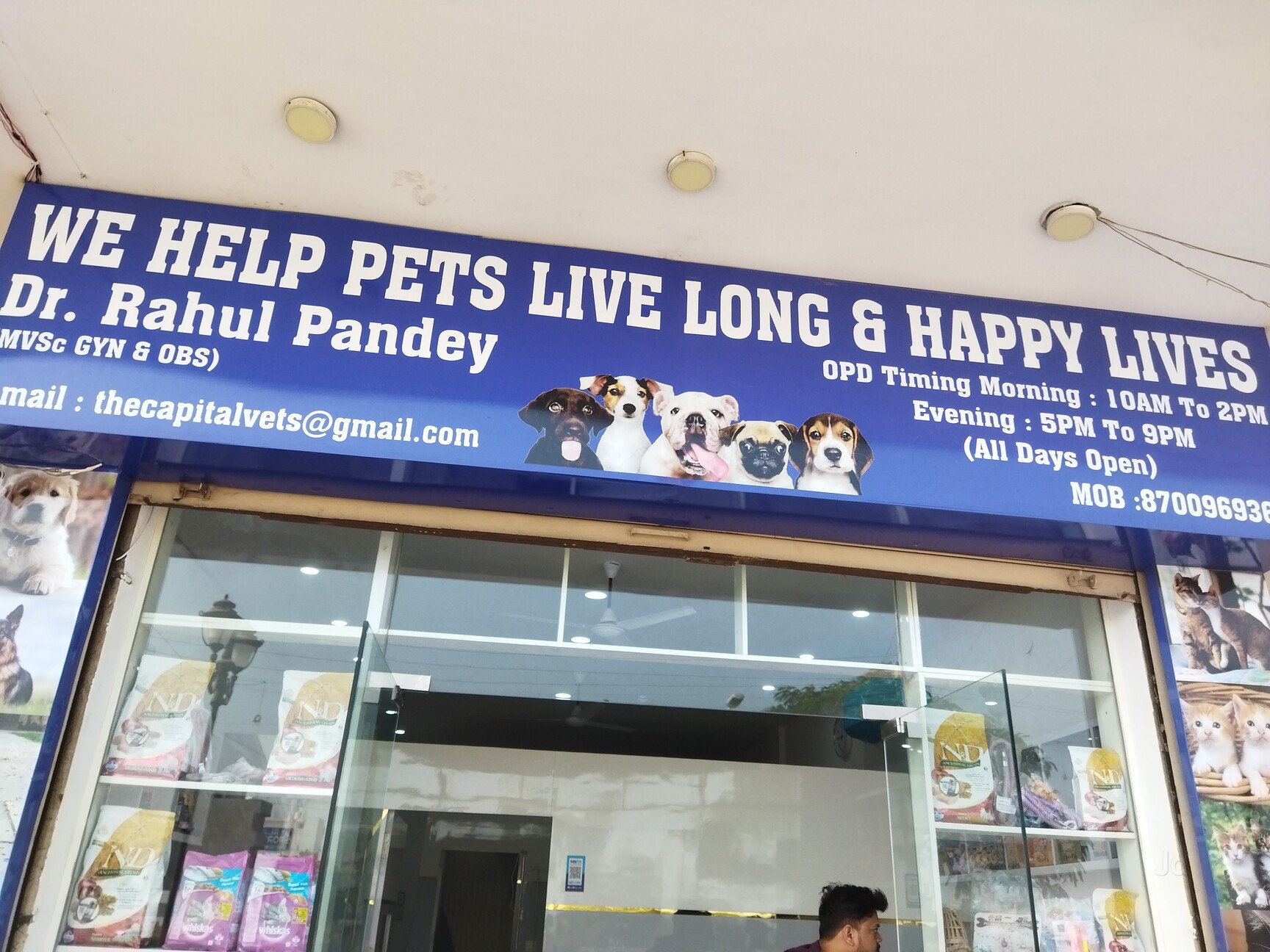 Capital Vets Pets Clinic in Faridabad City Faridabad Best Pet Clinics near me in Faridabad Justdial