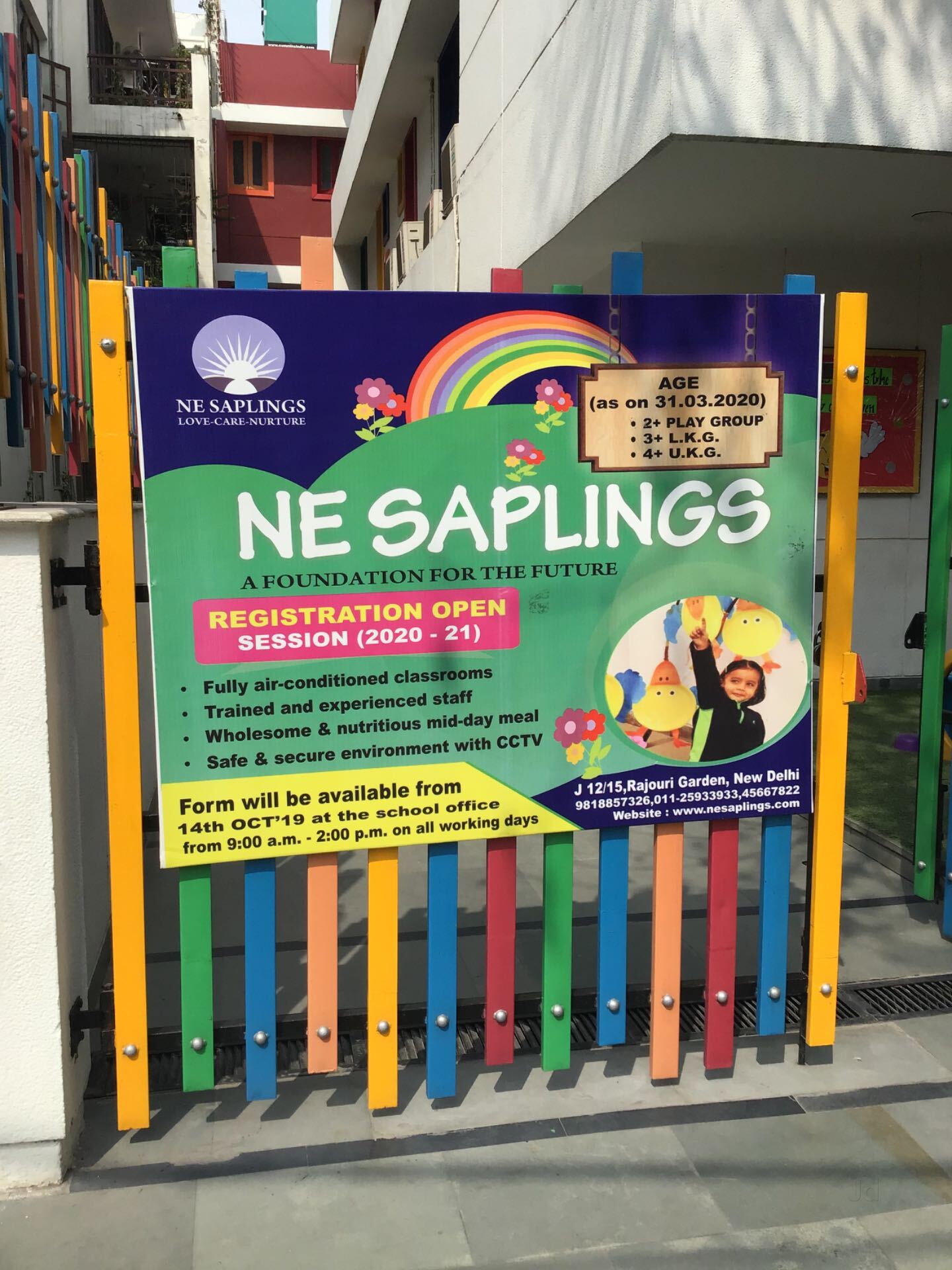 NE Saplings