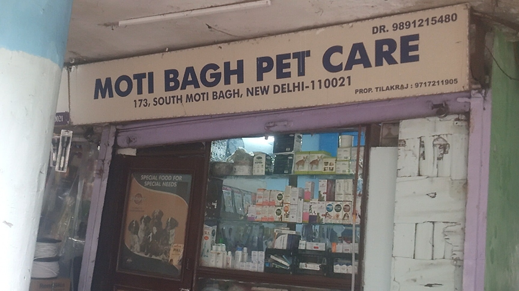 Moti Bagh Affordable Animal Emergency Delhi Best Dog Clinic Near