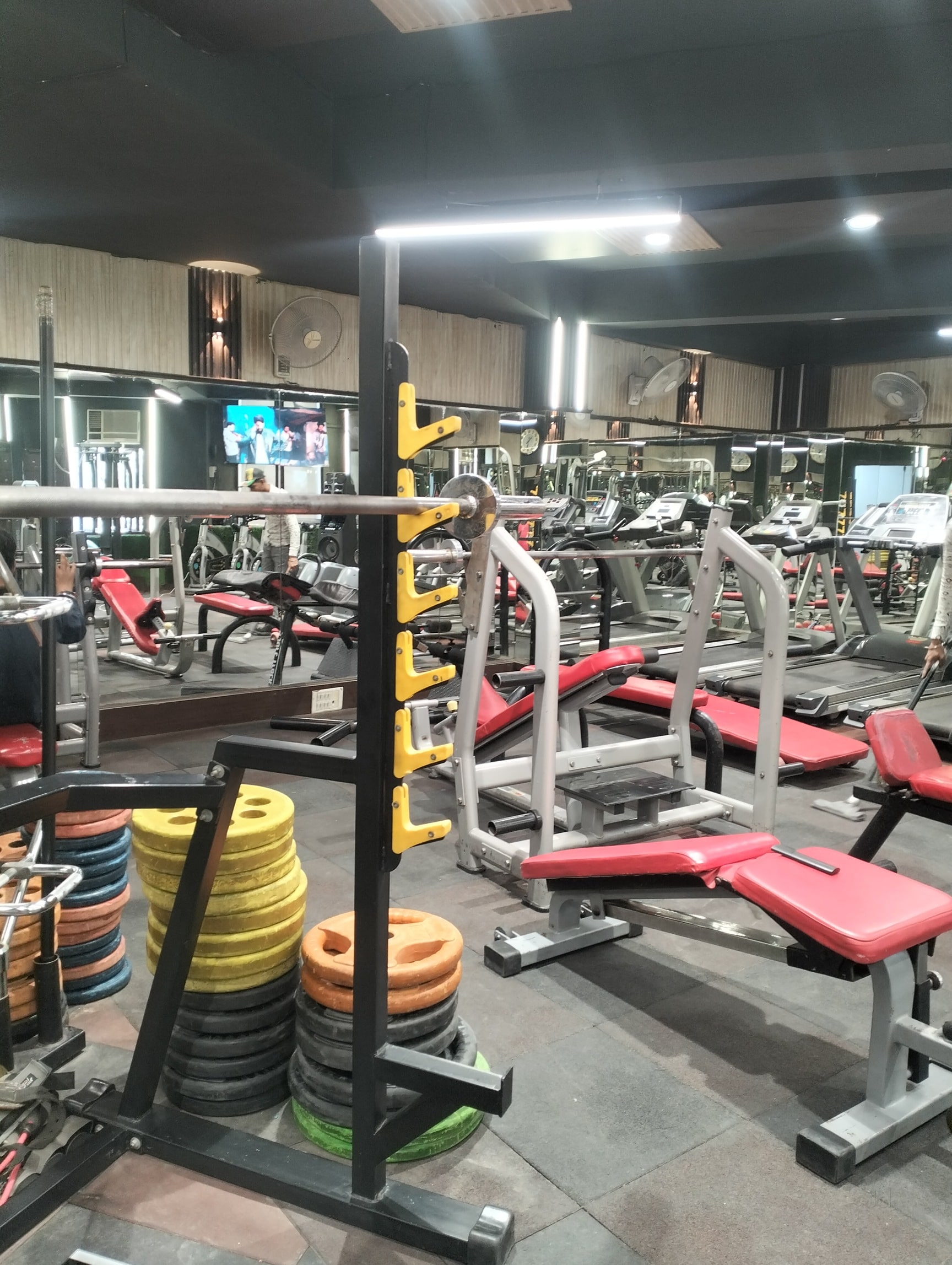 Services by Radius Gym And Spa in Tilak Nagar, Delhi Best Gyms