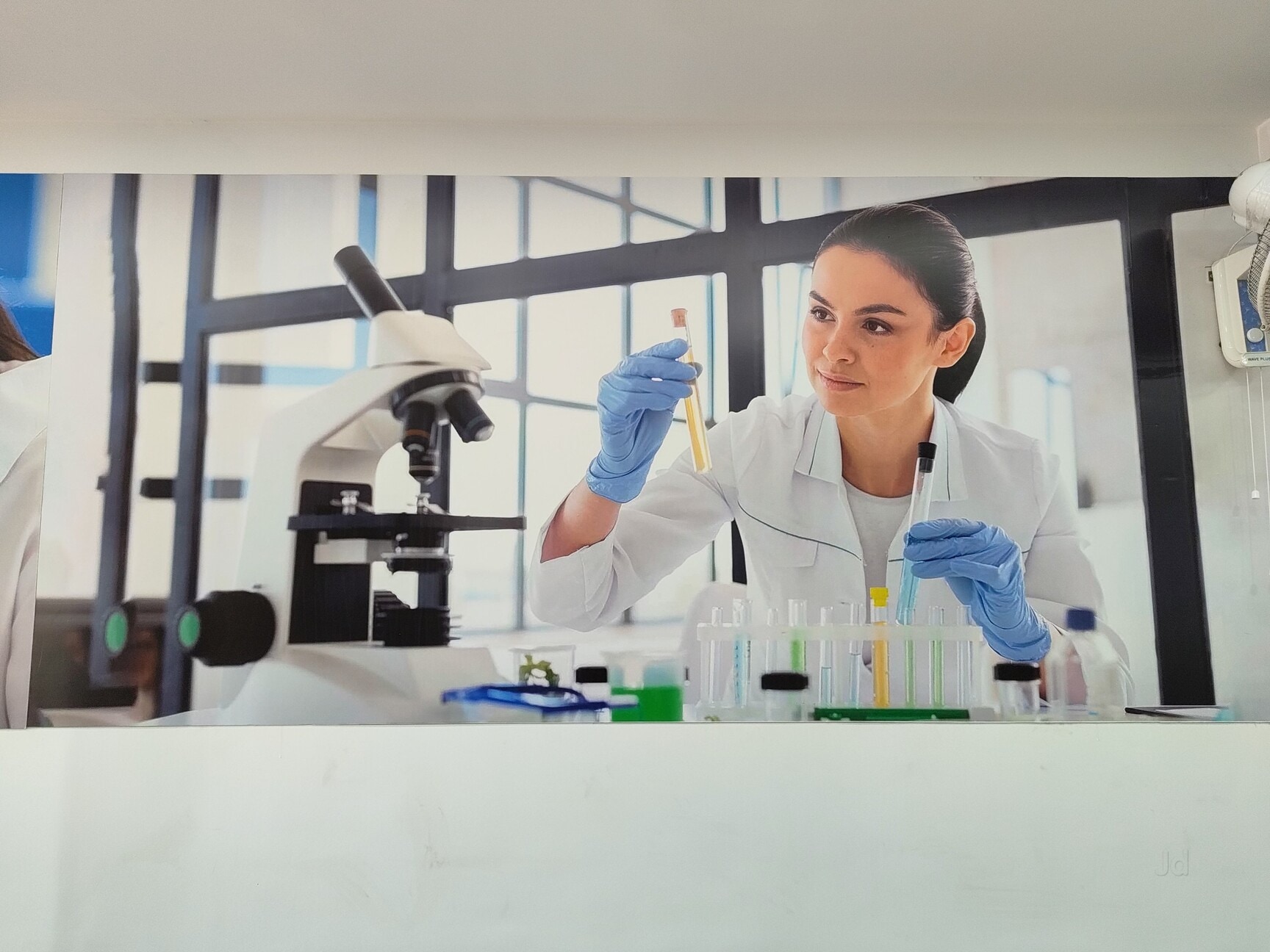 Lab view 6