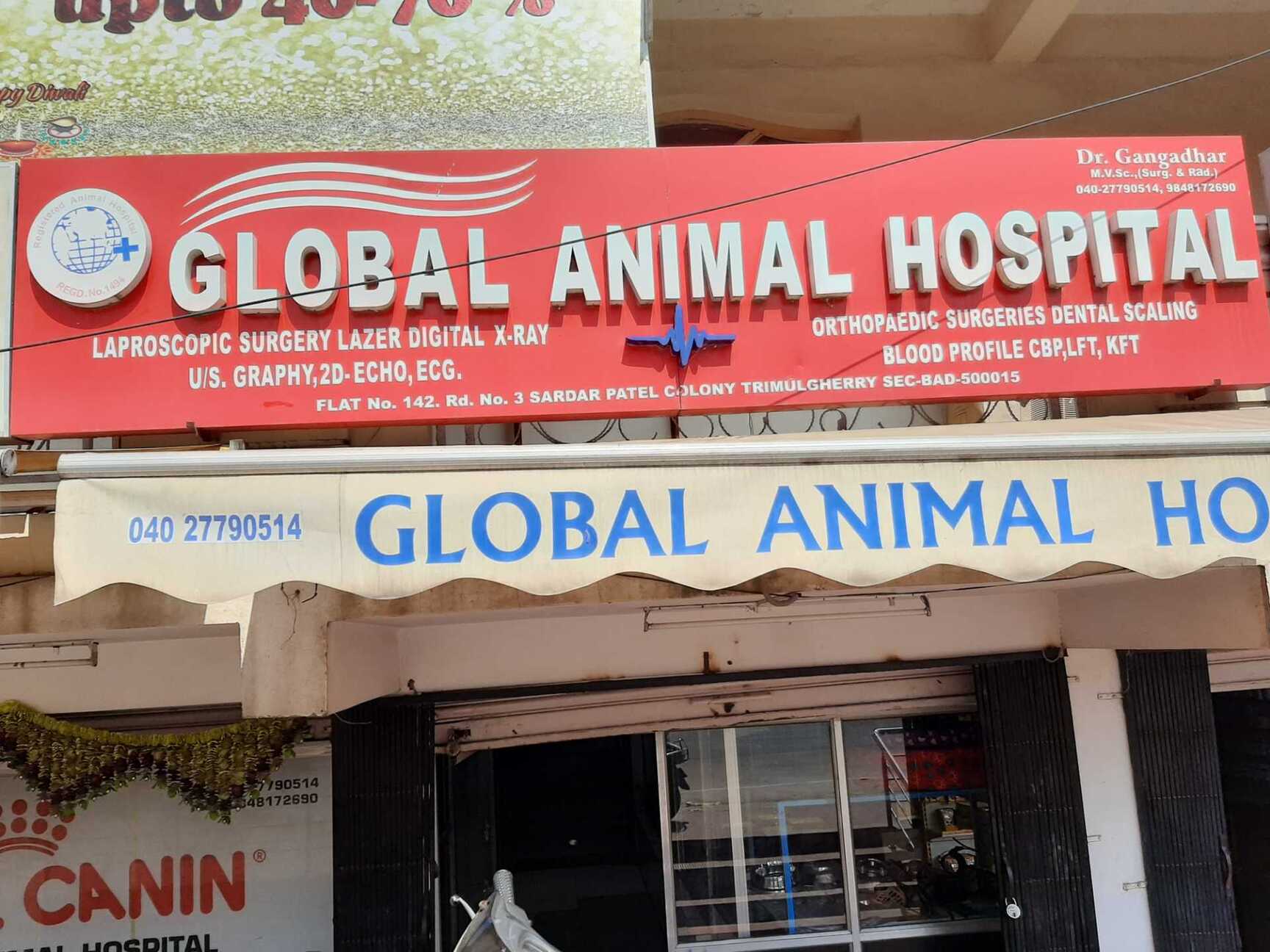 Dog Hospital Near Me Hyderabad Pet Clinics Near Me Cheap Hospital