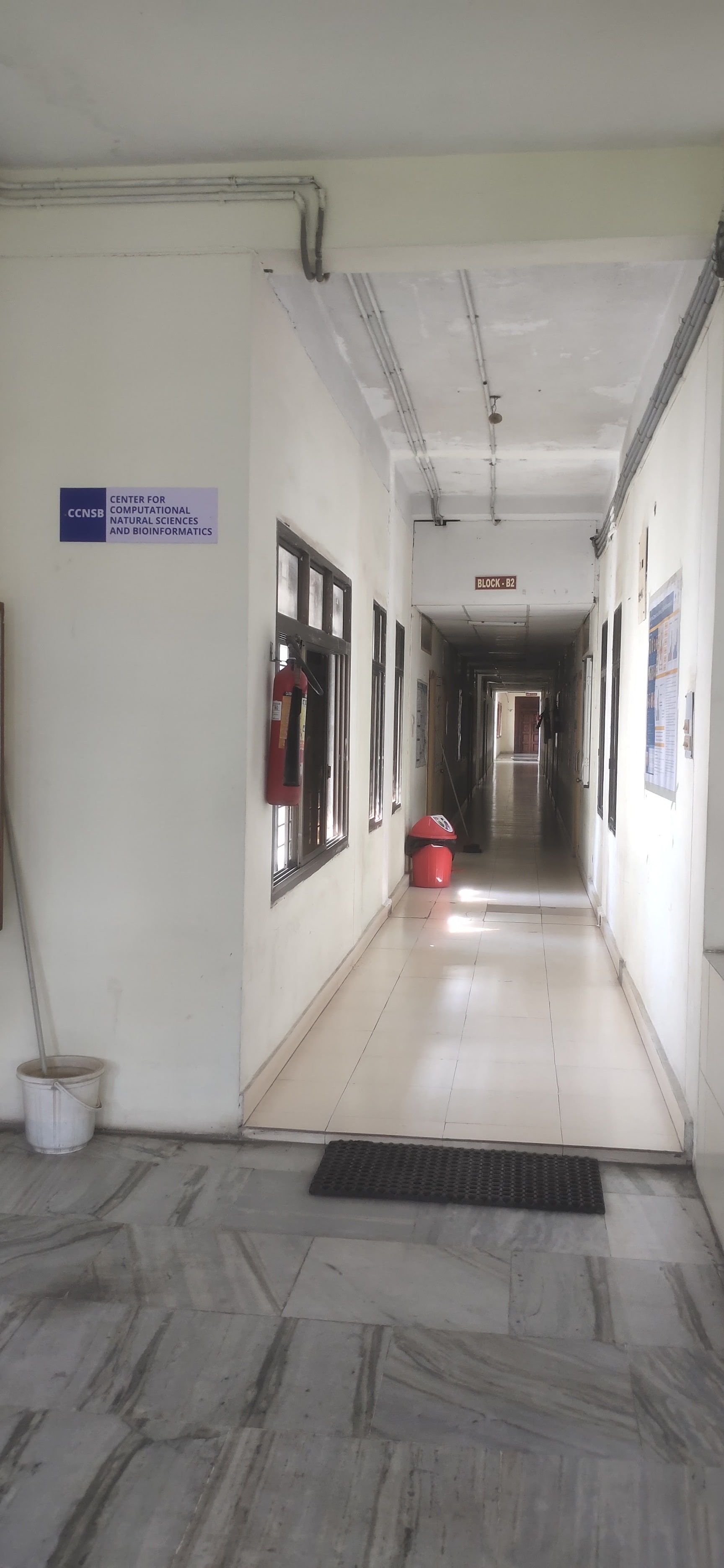 Center For Computational Natural Sciences And Bioinformatics