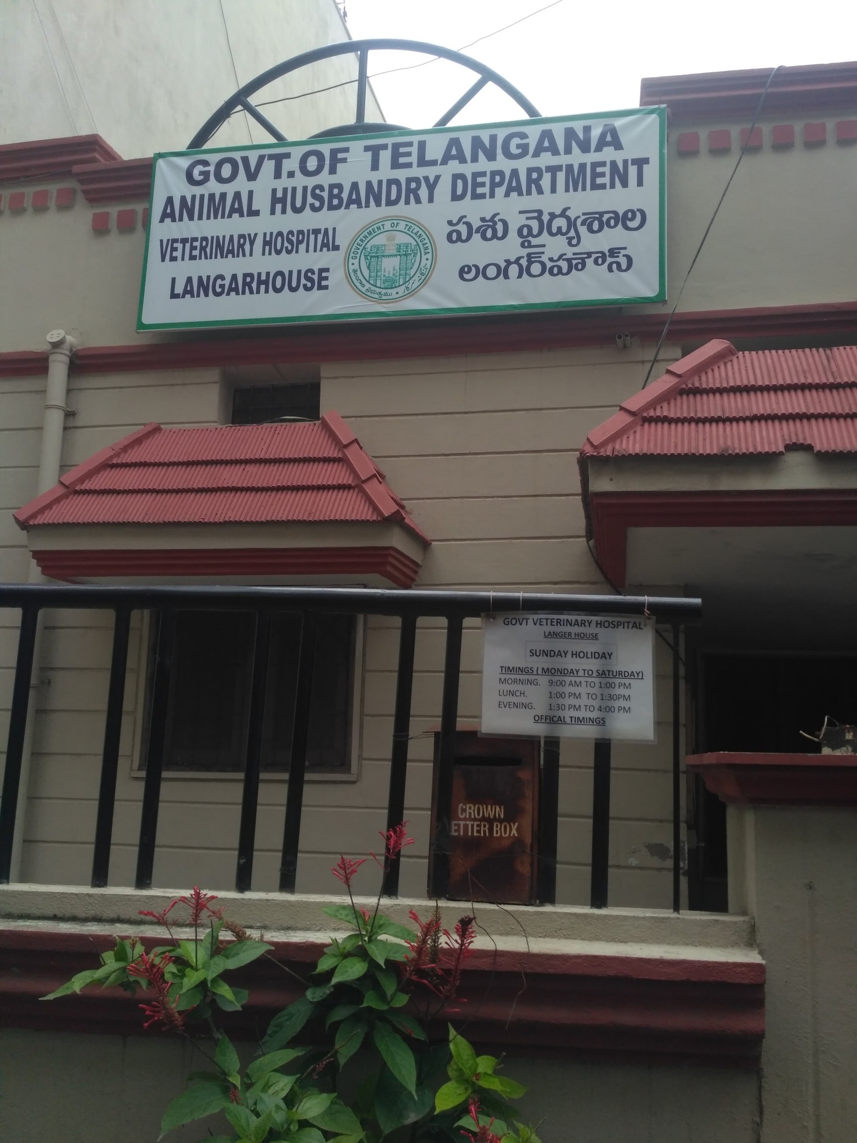 Delhi Animal Govt Hospital Near Me Delhi Best Dog Clinic Near Me - Main Image