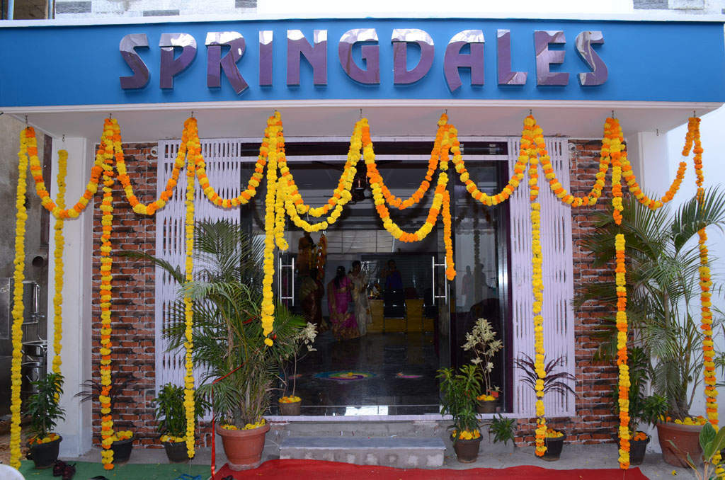 Spring Dales Schools