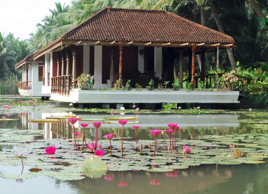 Konaseema: A Slice of Kerala Just 5 Hours from Vizag