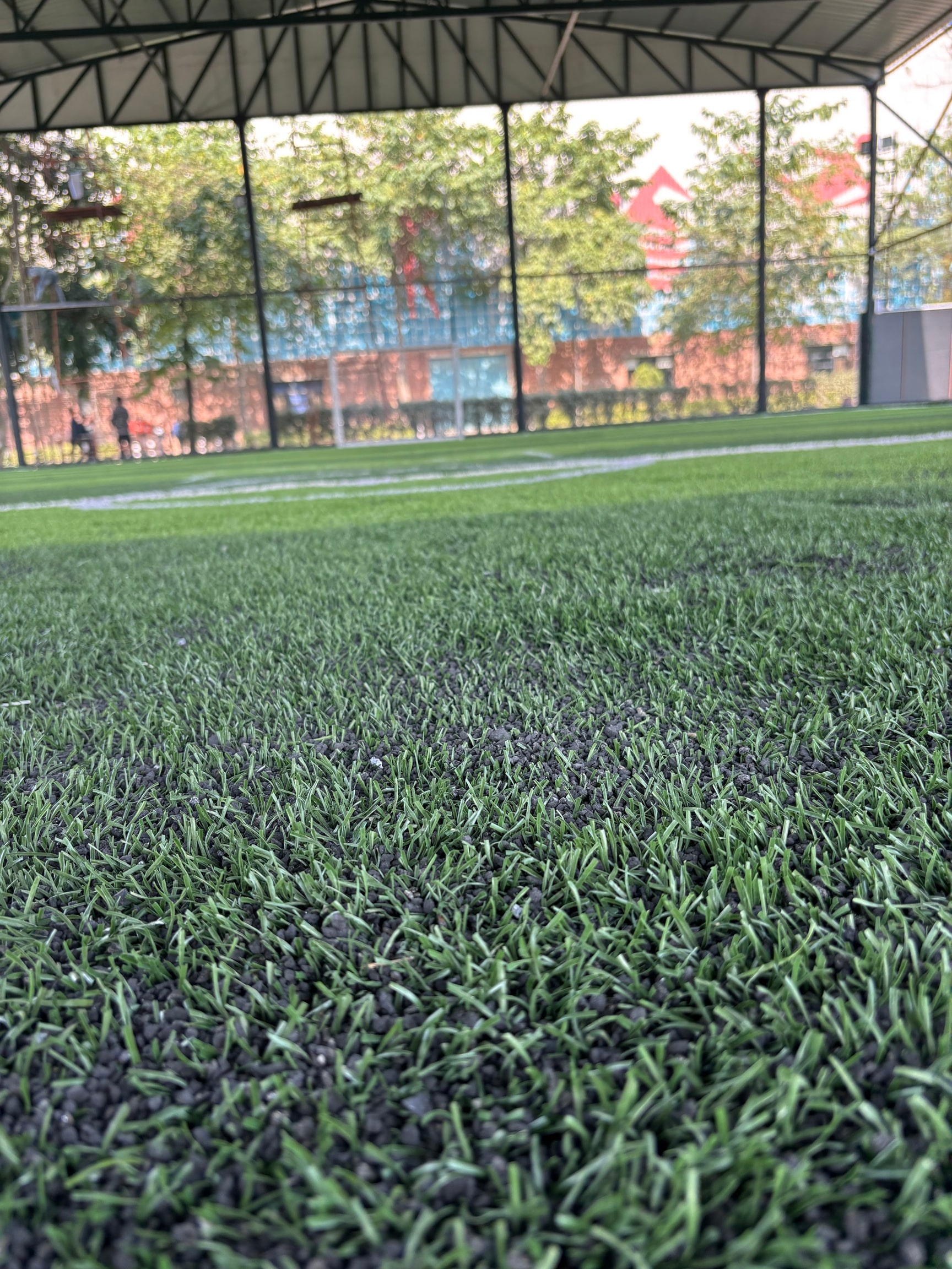 Xl Arena (box Cricket and Football Turf) in Phagwara Sharki