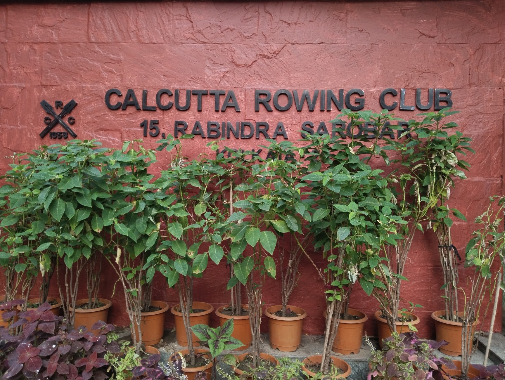 Calcutta University Rowing Club in Kalighat,Kolkata - Best Cycling Clubs  near me in Kolkata - Justdial