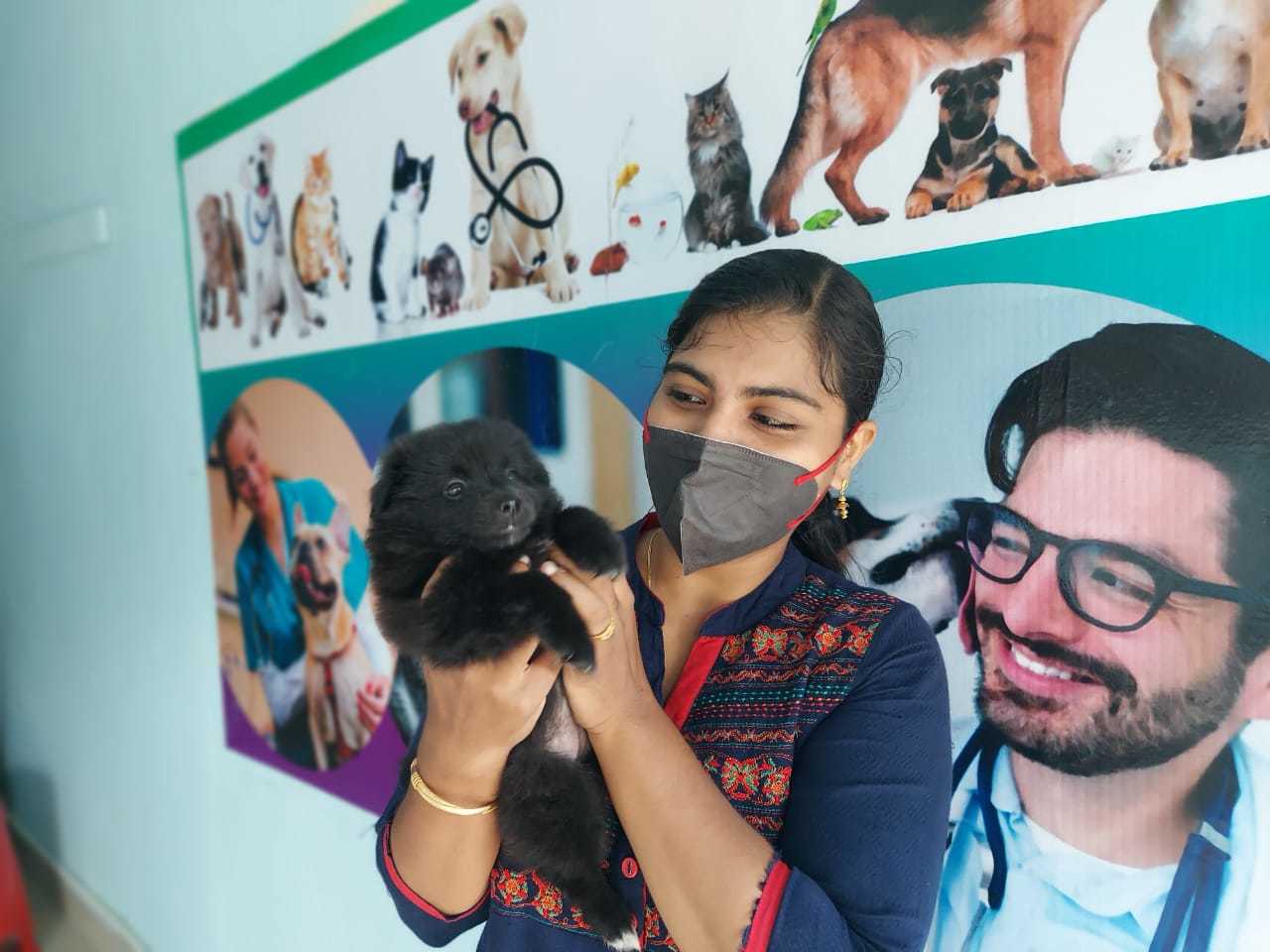 Pet Land Veterinary Clinic in Thevalakkara,Kollam - Best Pet
