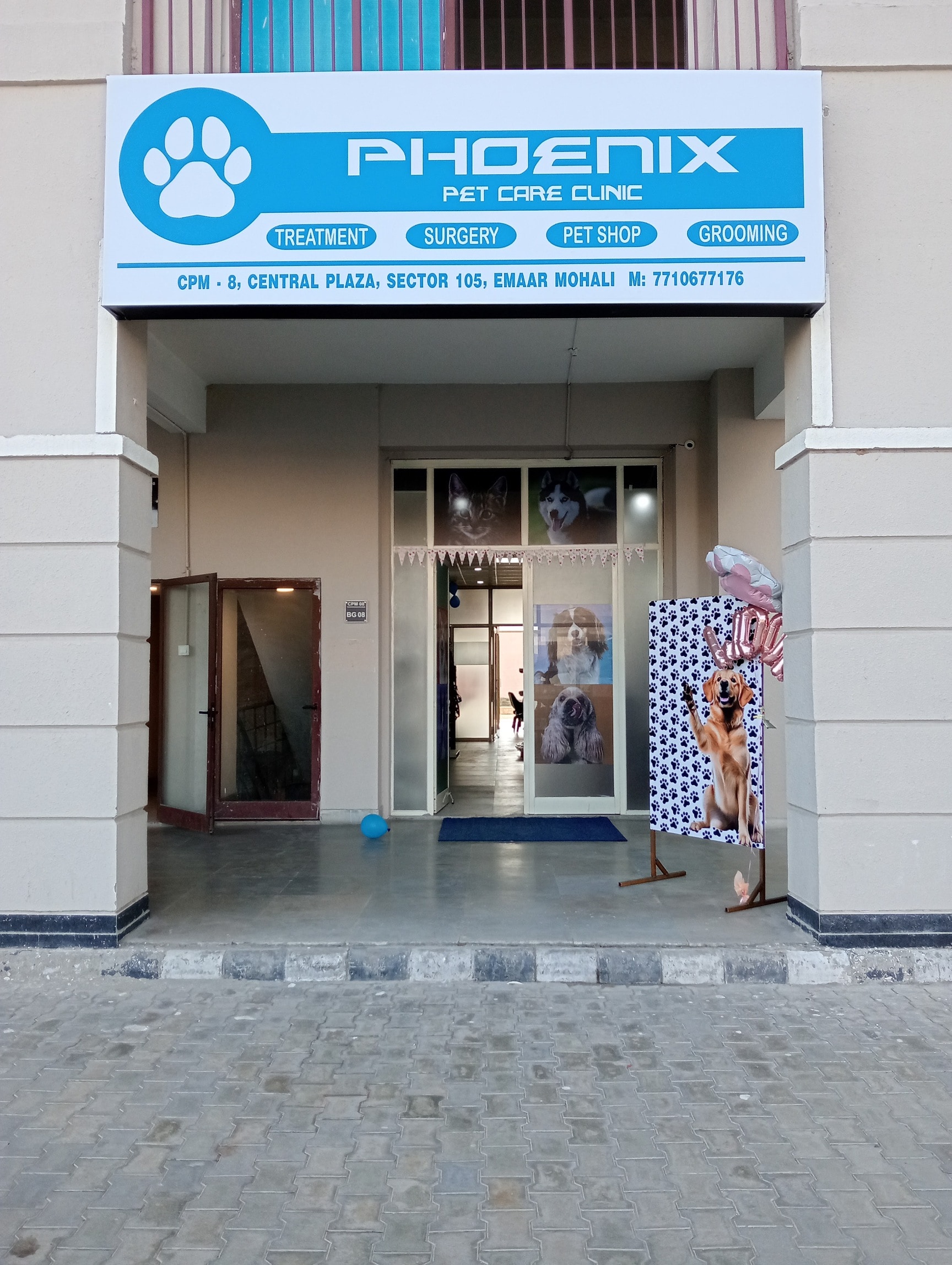 Vip Petcare Petcare Hospital And Wellness Center Top Vip Petcare