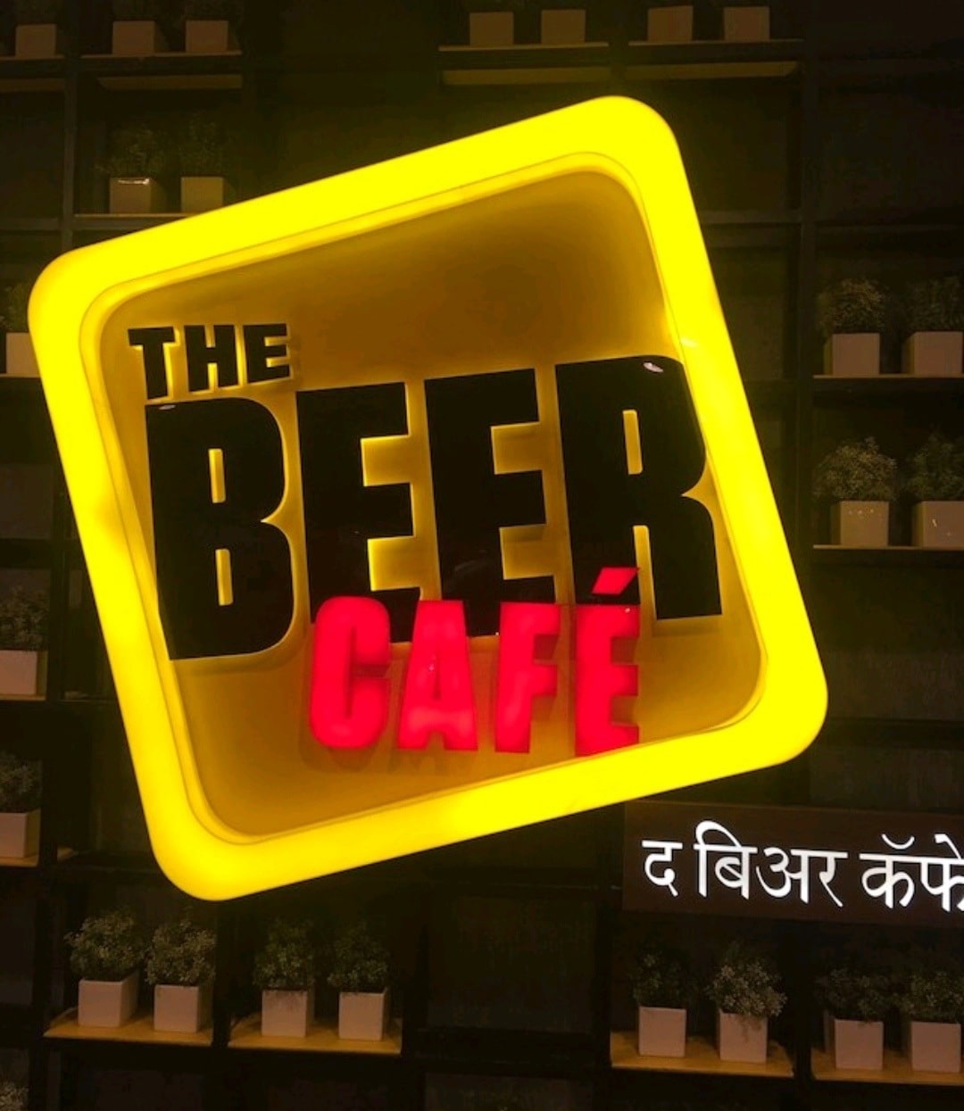 The Beer Cafe in Mahim,Mumbai - Order Food Online - Best Indian