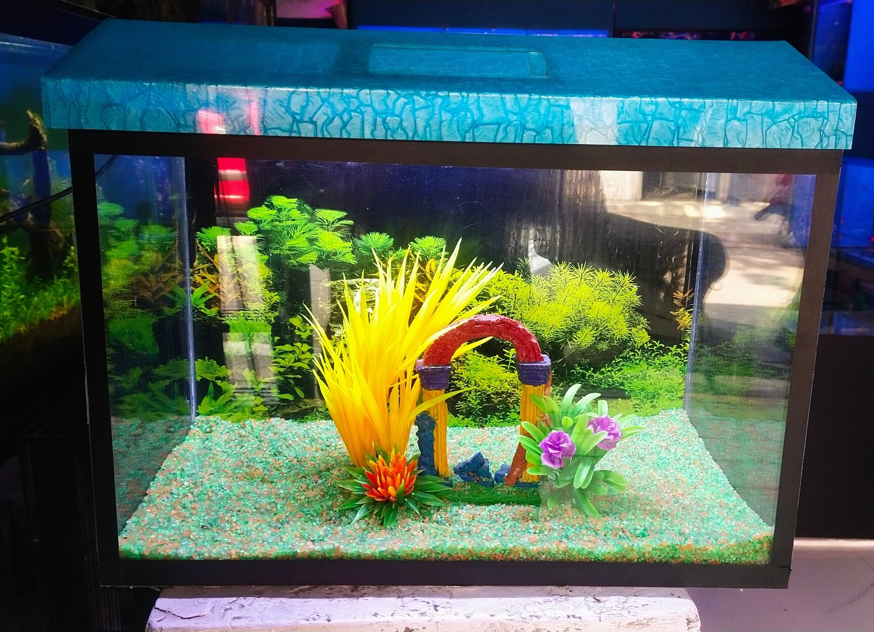 fish aquarium accessories mumbai Buy Maxbell Decoration Tank Fish Garden Pond Aquarium Ornament 11.5x6.5x8.5cm at the best price with offers in India. Maxbell Aquarium Decoration Fish Tank Accessories Fish Garden Pond Aquarium Ornament Free fish tank accessories in